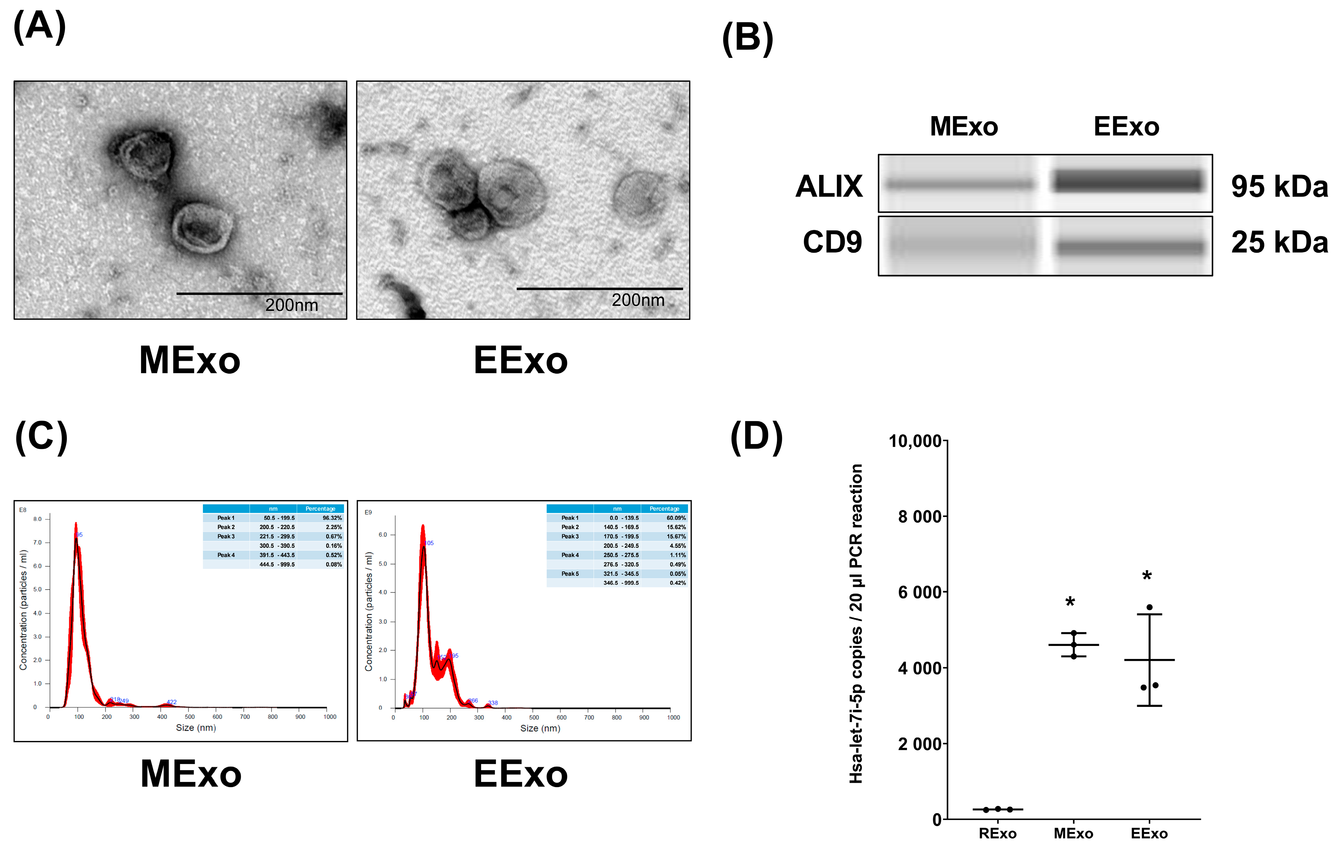 Therapeutic Effects of Engineered Exosomes from RAW264.7 Cells ...