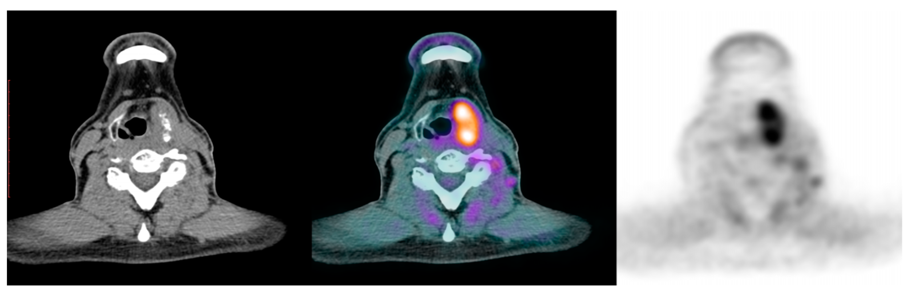 Jpm 14 00654 g002 Jpm 14 00654 g002