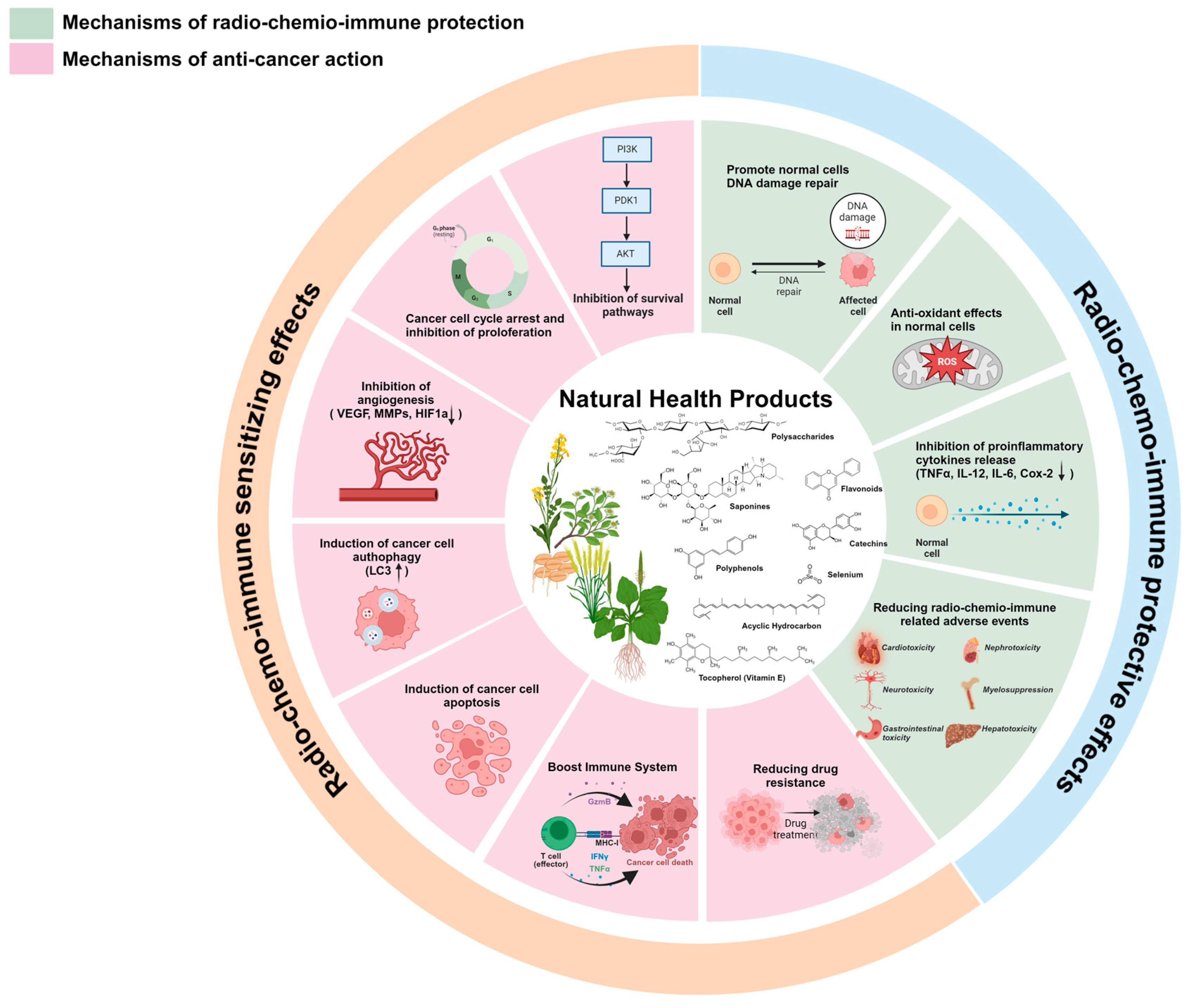 Jpm 14 00685 g001 Jpm 14 00685 g001