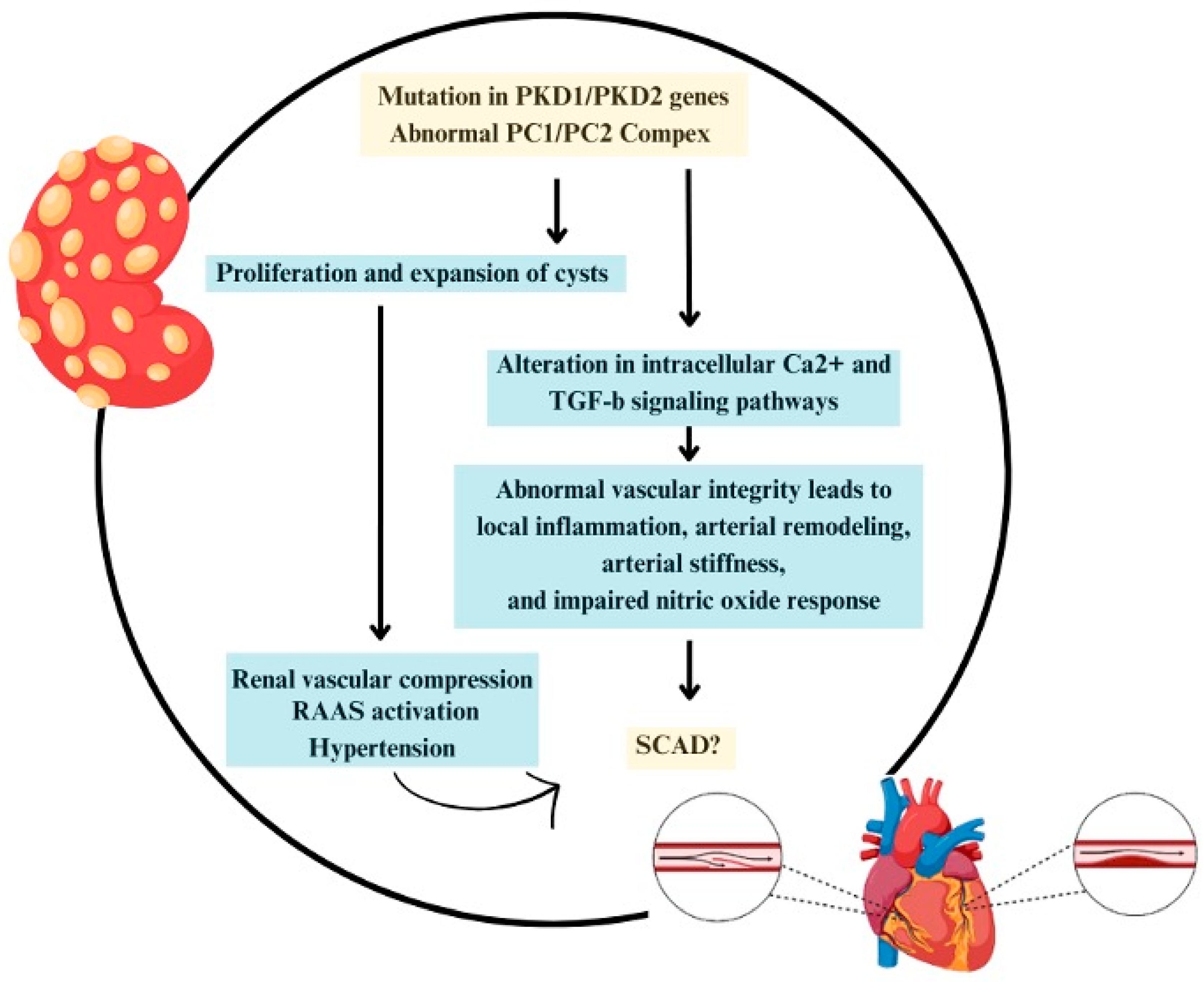 Jpm 14 00702 g003 Jpm 14 00702 g003