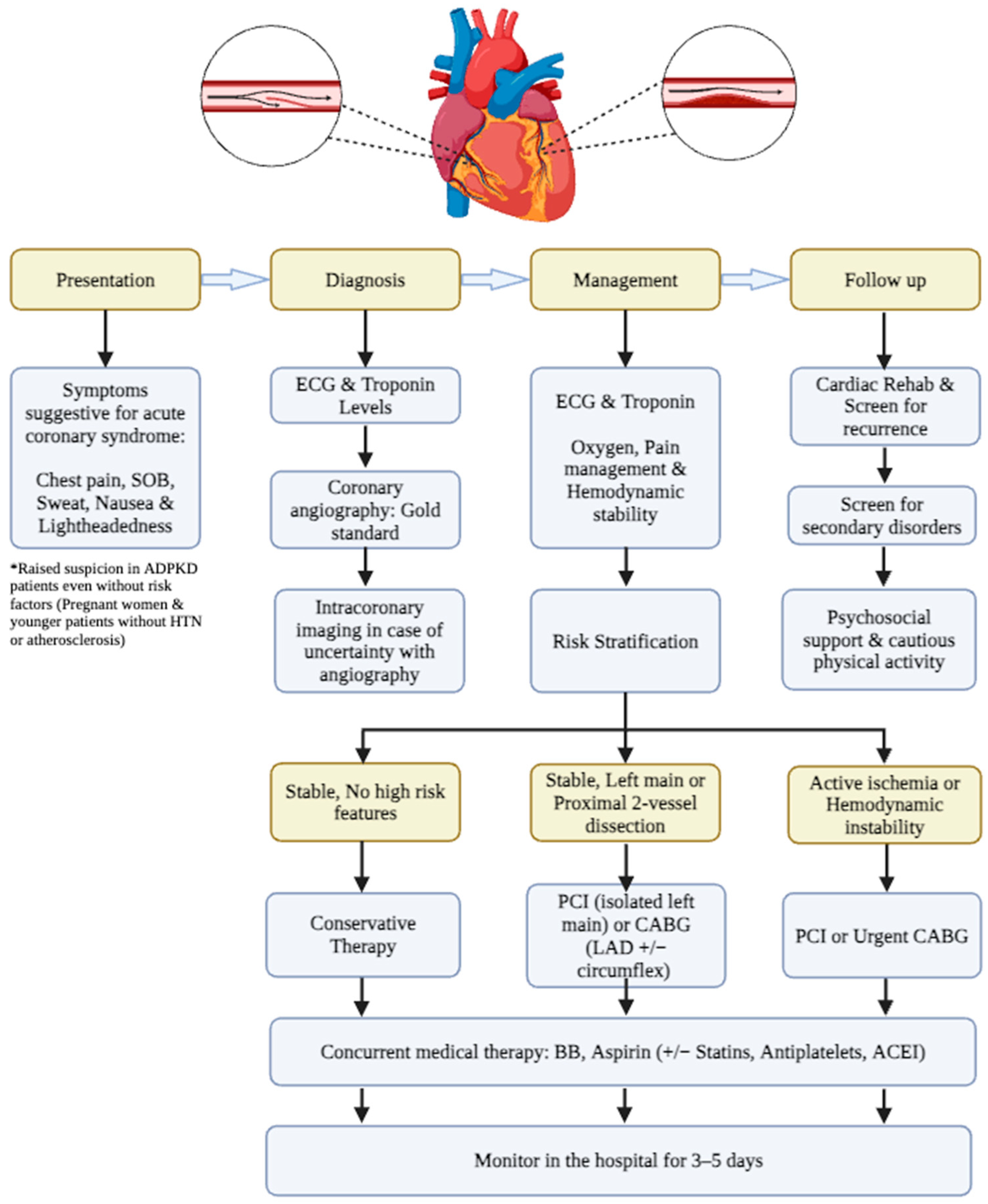 Jpm 14 00702 g004 Jpm 14 00702 g004