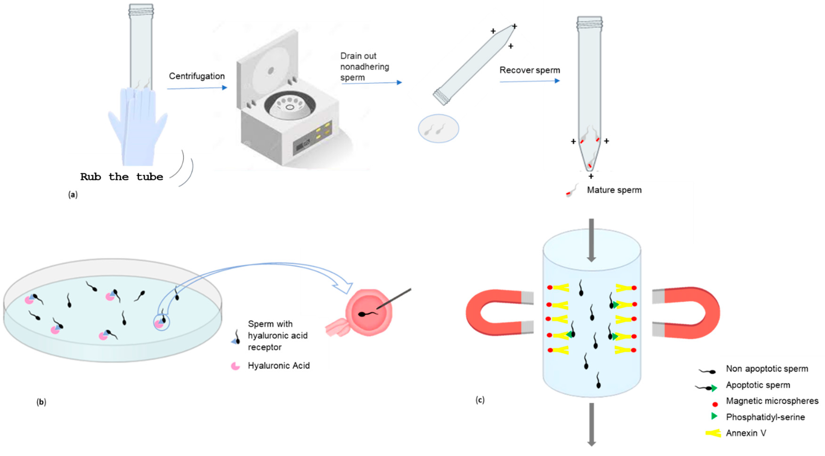 Jpm 14 00726 g001 Jpm 14 00726 g001