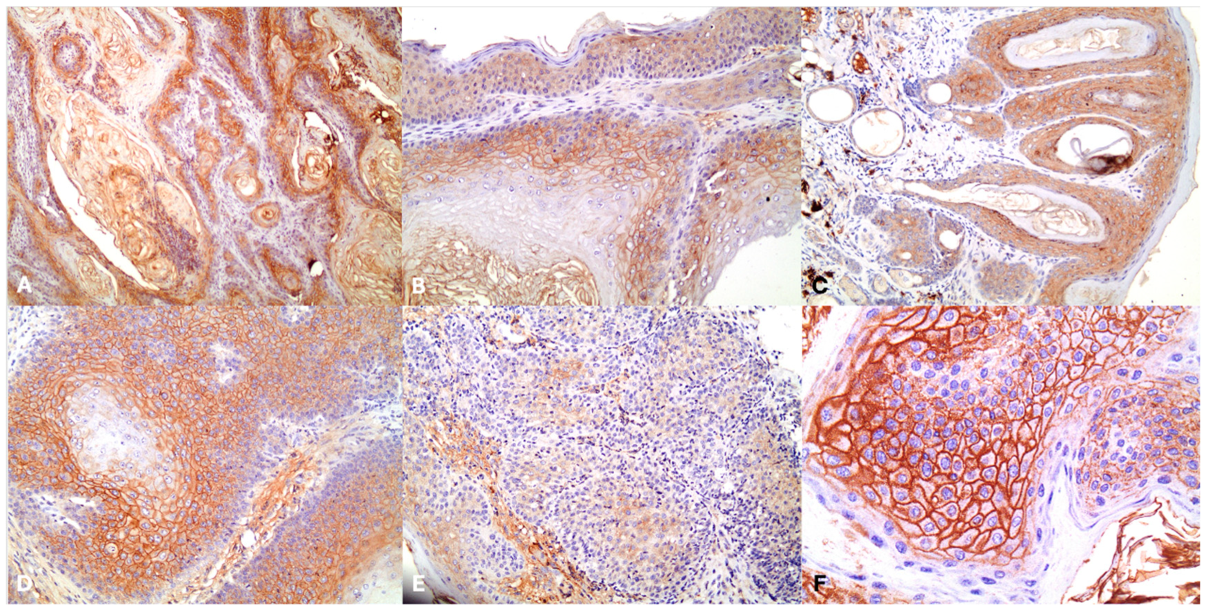 Jpm 14 00790 g001 Jpm 14 00790 g001