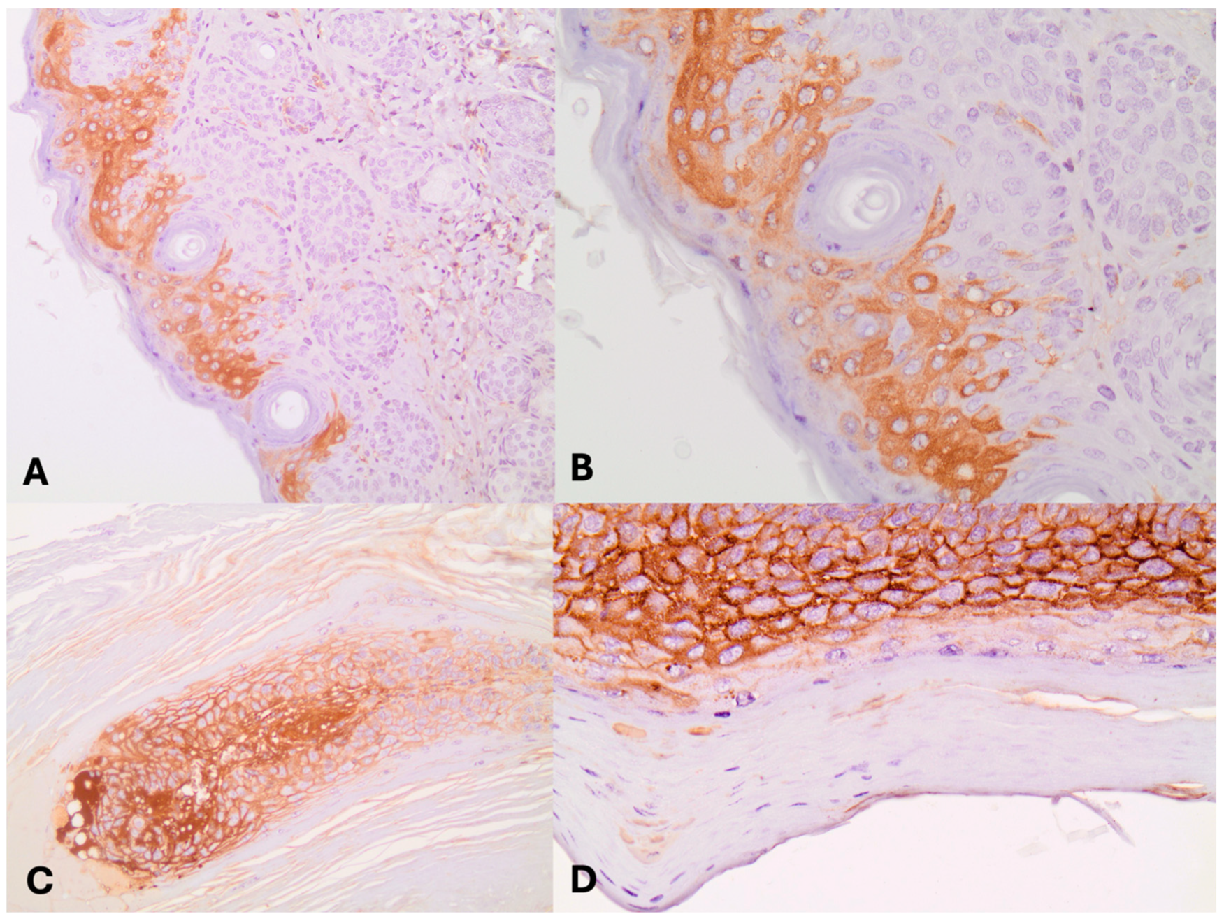 Jpm 14 00790 g002 Jpm 14 00790 g002