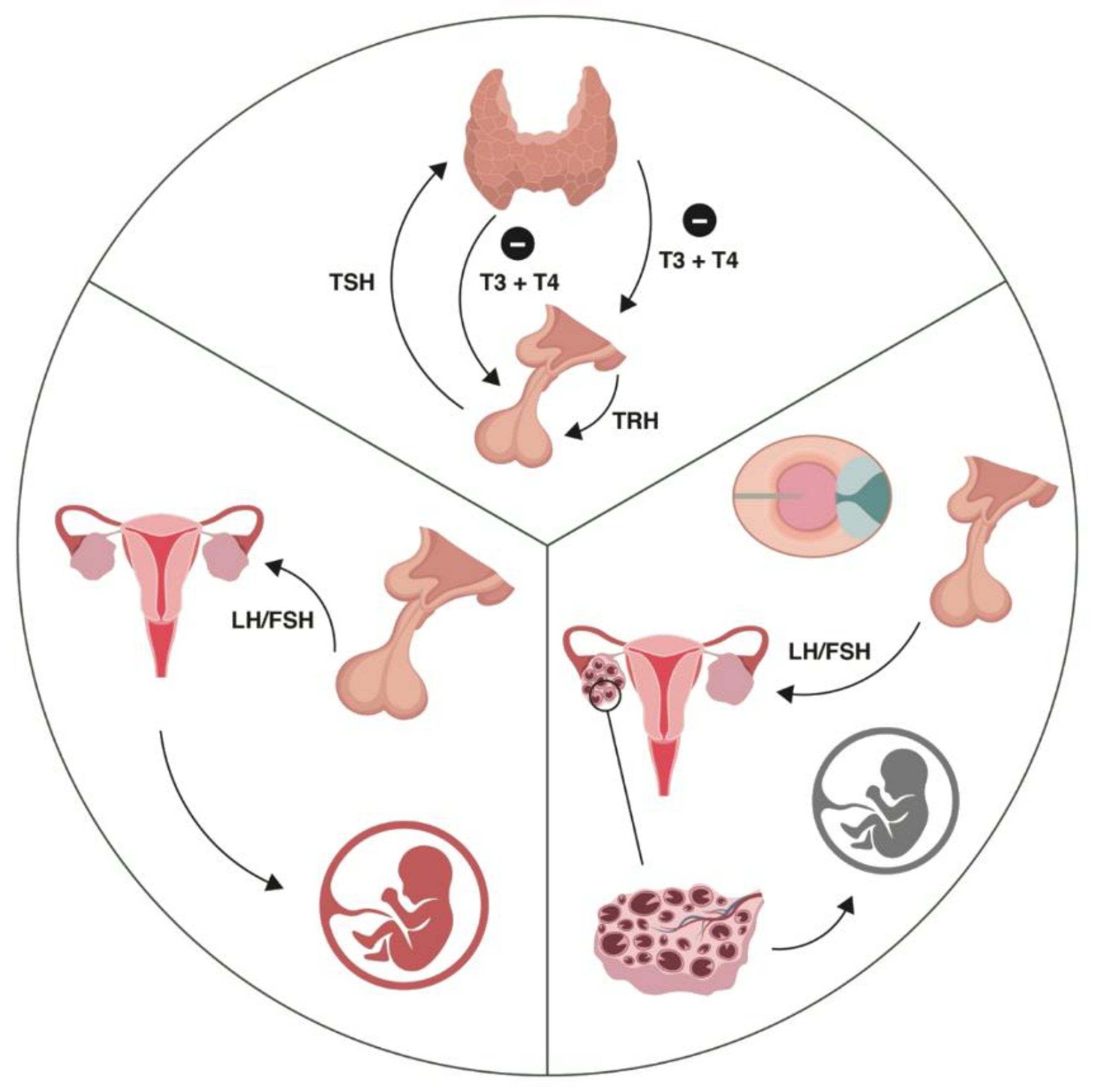Jpm 14 00915 g001 Jpm 14 00915 g001