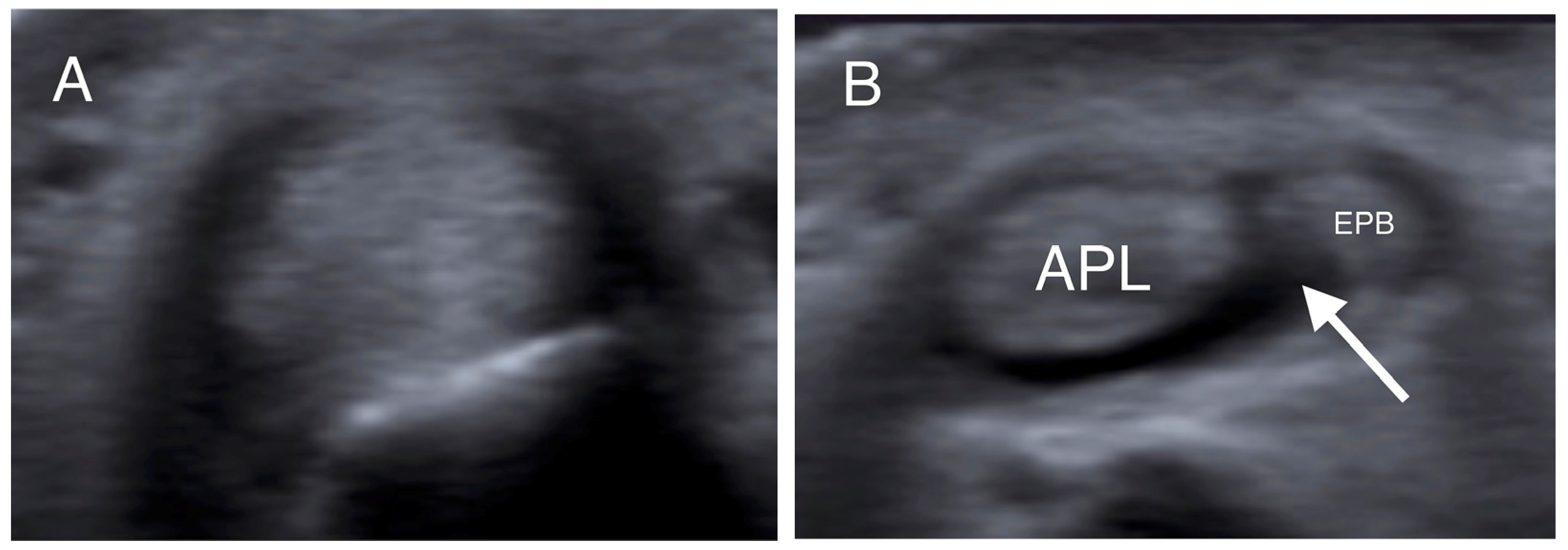 Jpm 14 00928 g001 Jpm 14 00928 g001