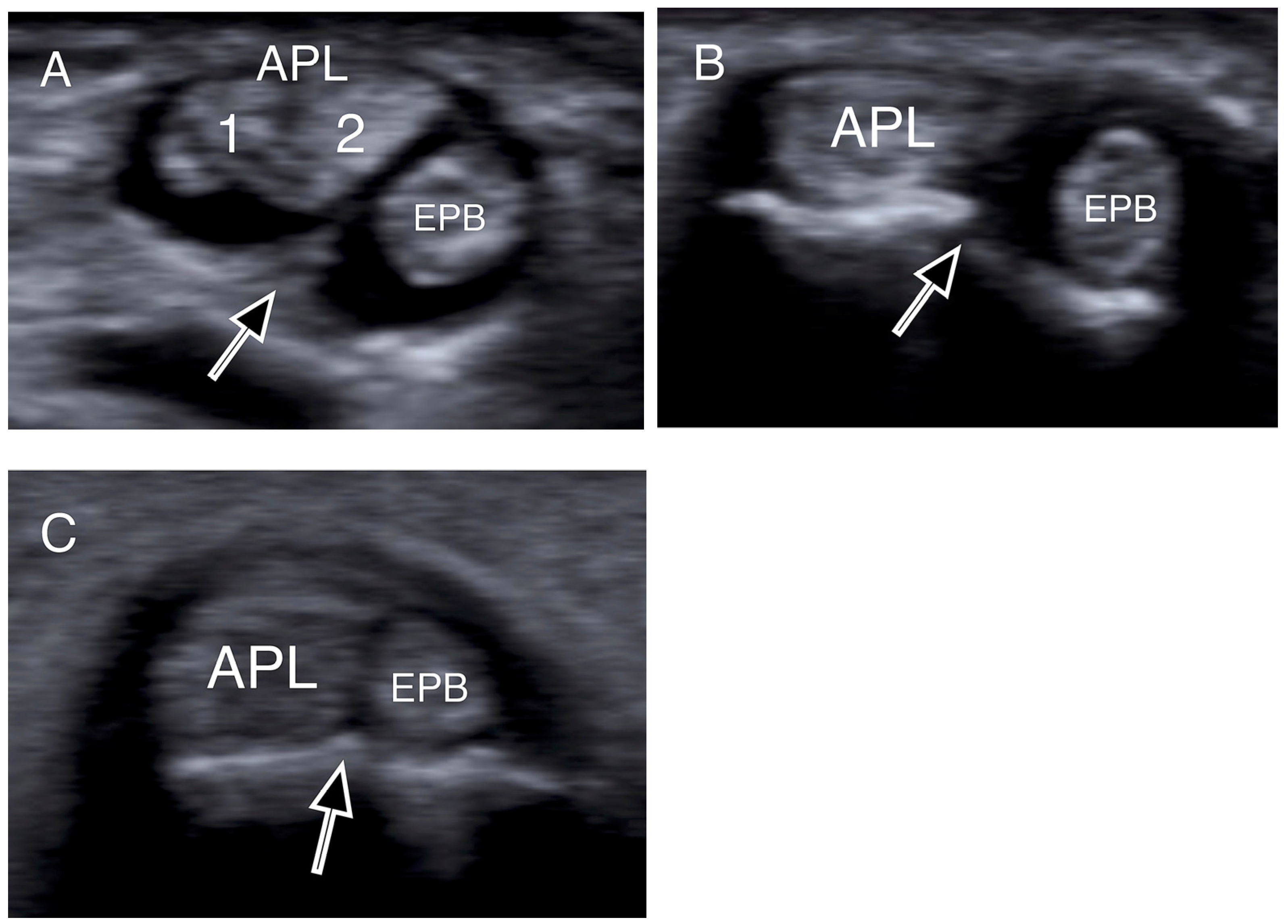 Jpm 14 00928 g003 Jpm 14 00928 g003