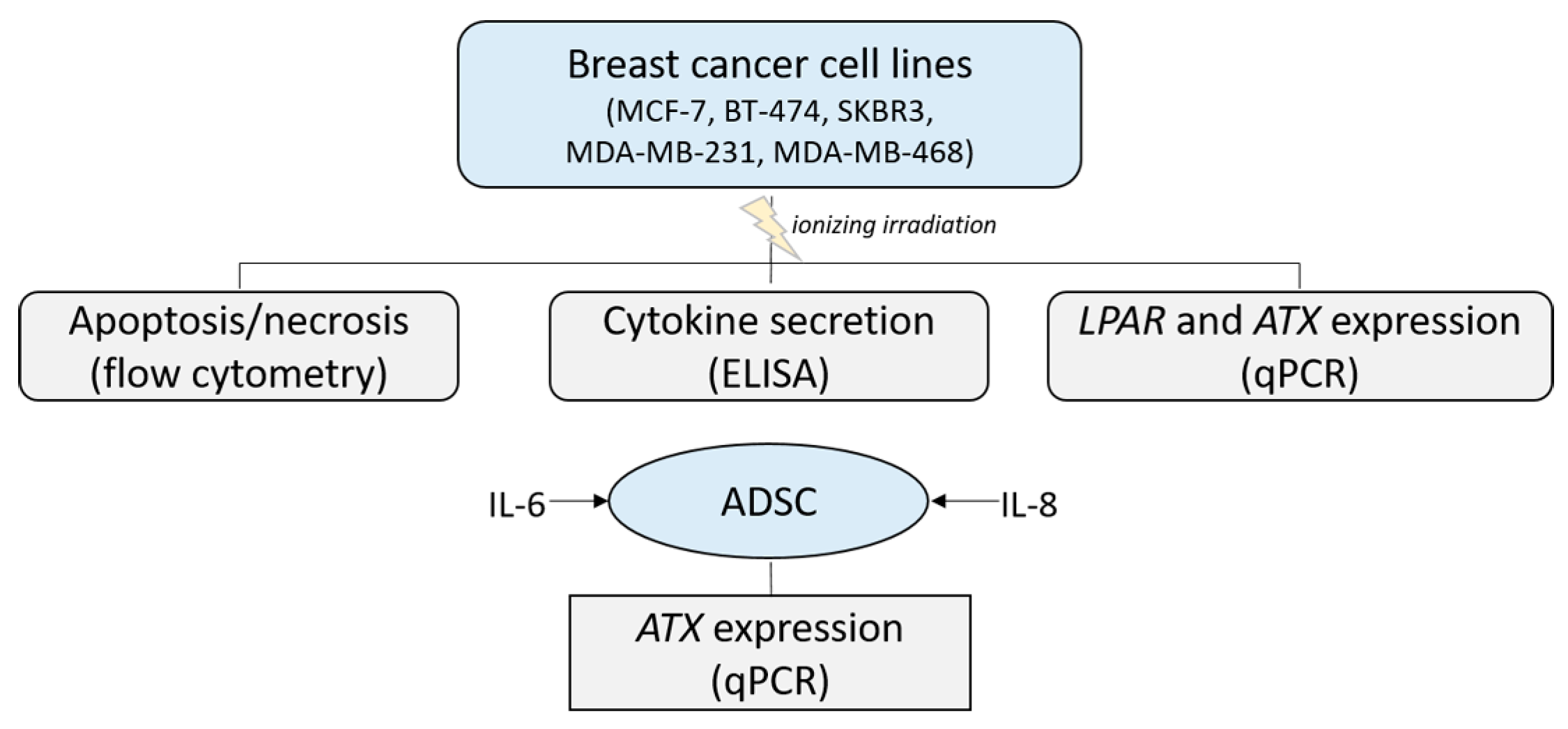 Jpm 14 00968 g001 Jpm 14 00968 g001