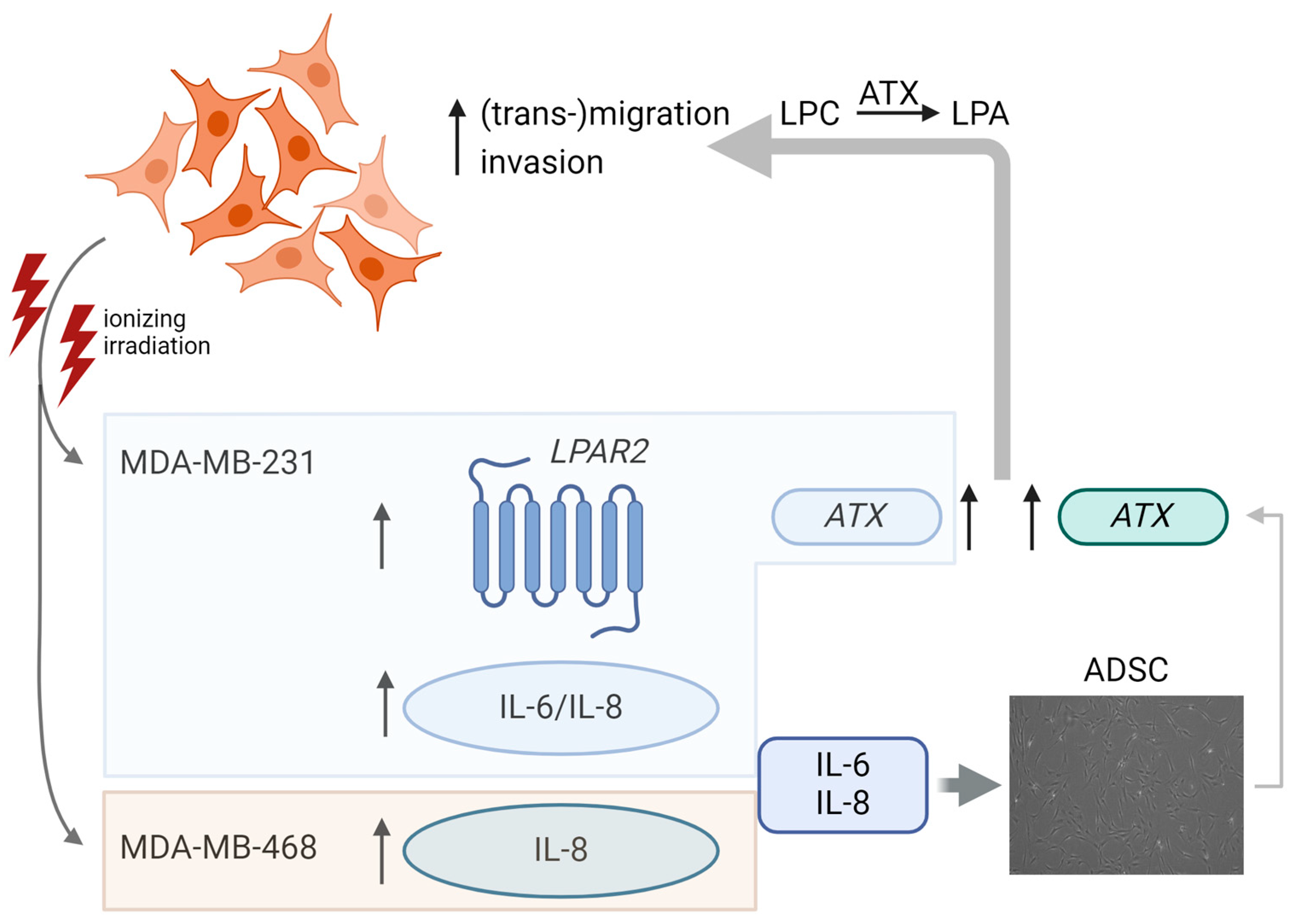 Jpm 14 00968 g006 Jpm 14 00968 g006