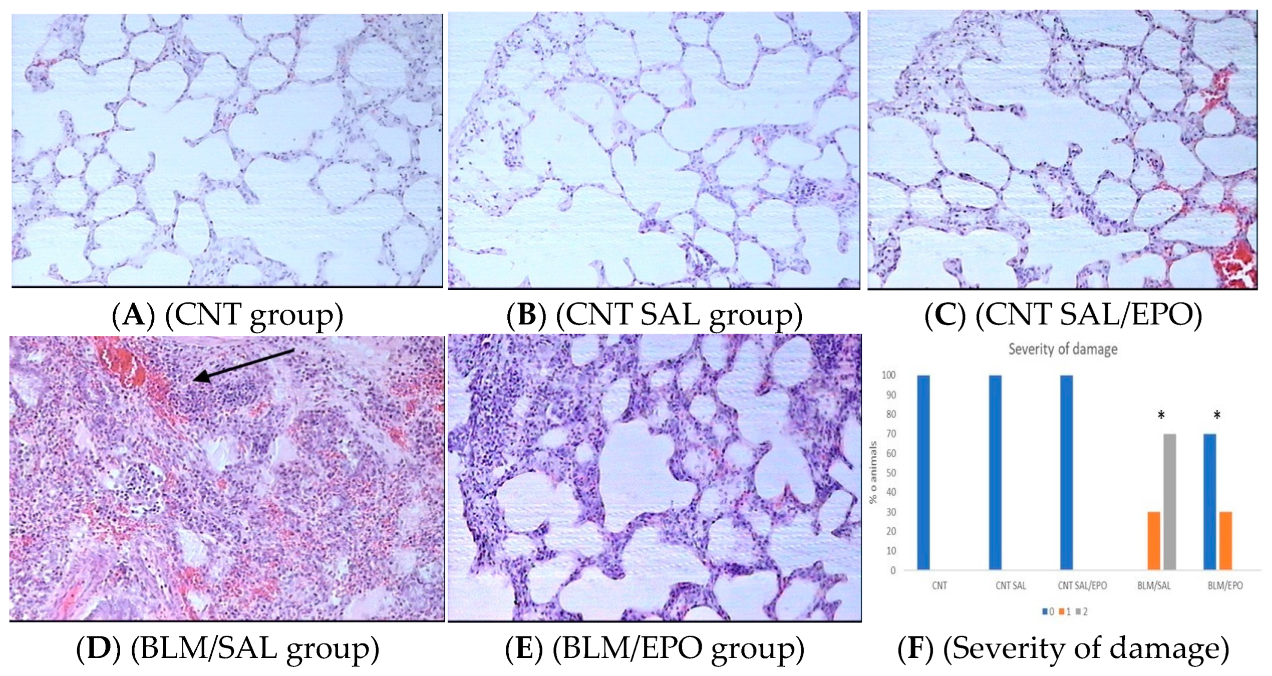 Jpm 14 00972 g001 Jpm 14 00972 g001