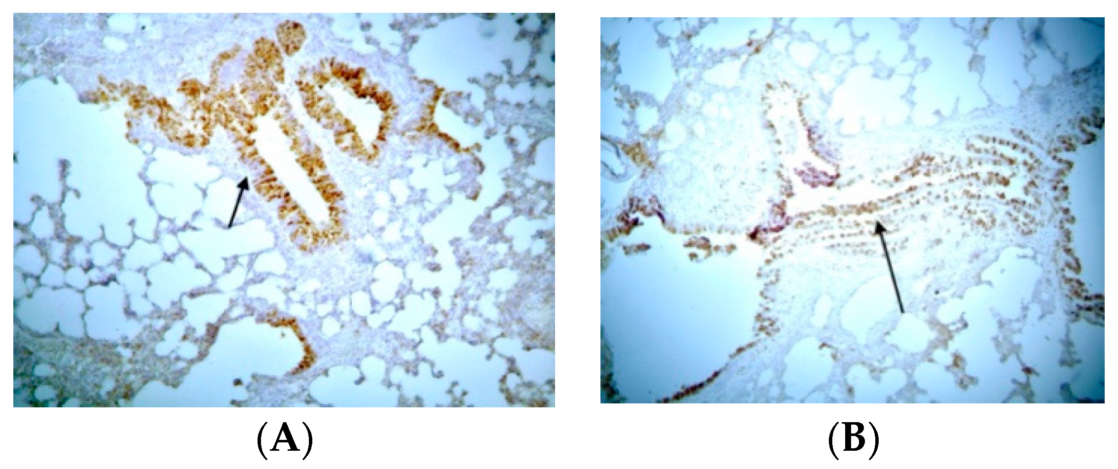 Jpm 14 00972 g002 Jpm 14 00972 g002