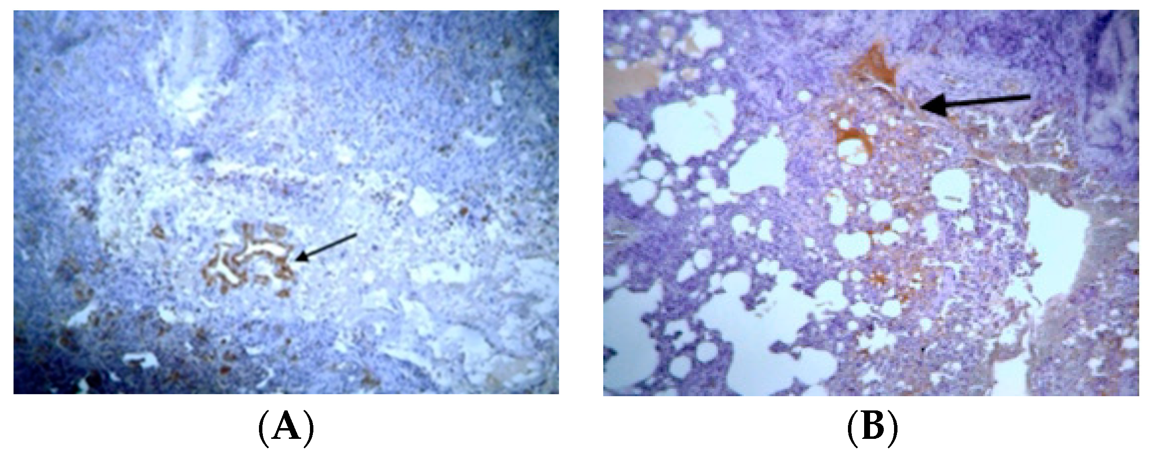 Jpm 14 00972 g003 Jpm 14 00972 g003