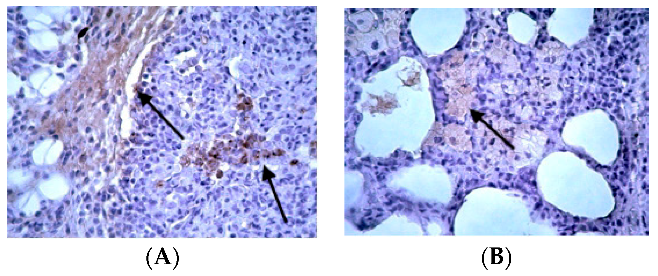 Jpm 14 00972 g004 Jpm 14 00972 g004