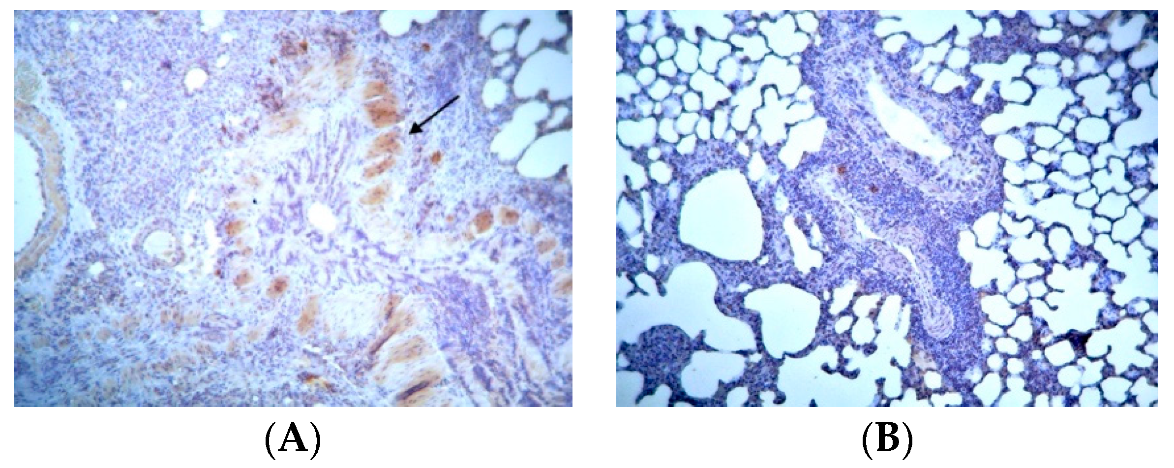 Jpm 14 00972 g006 Jpm 14 00972 g006