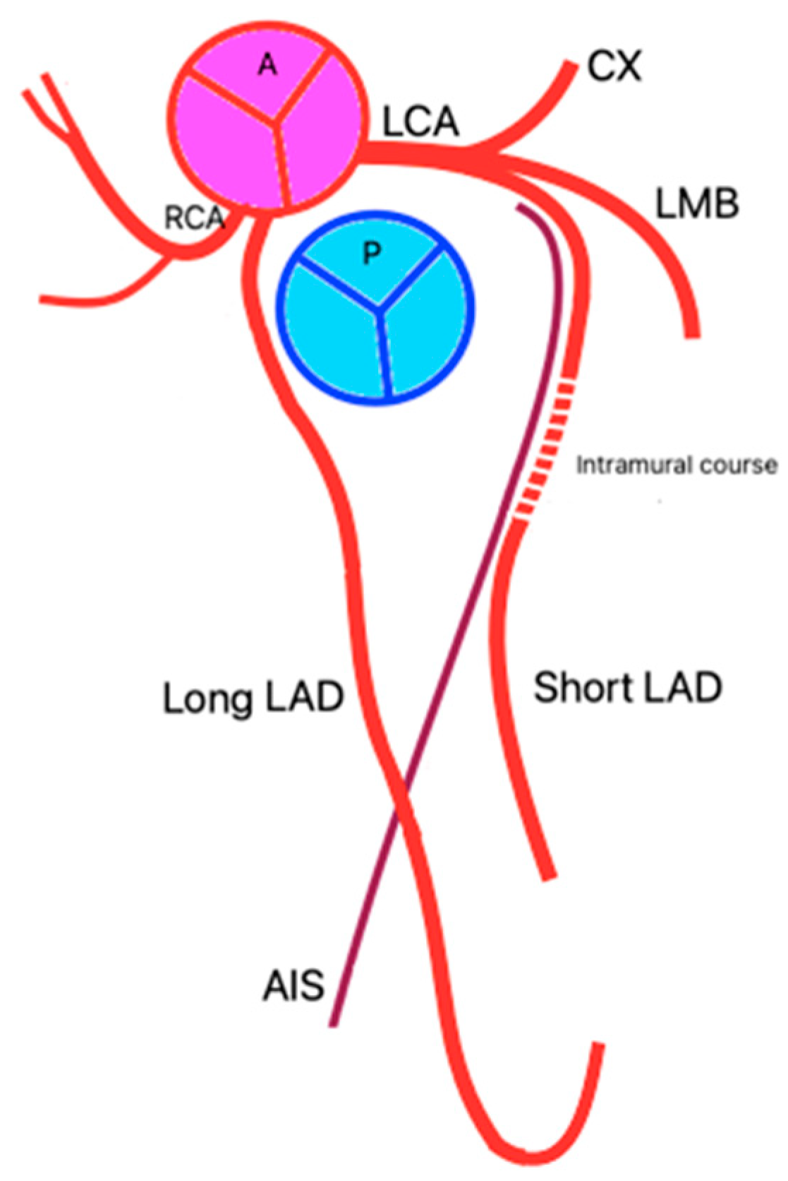 Jpm 14 01007 g003 Jpm 14 01007 g003
