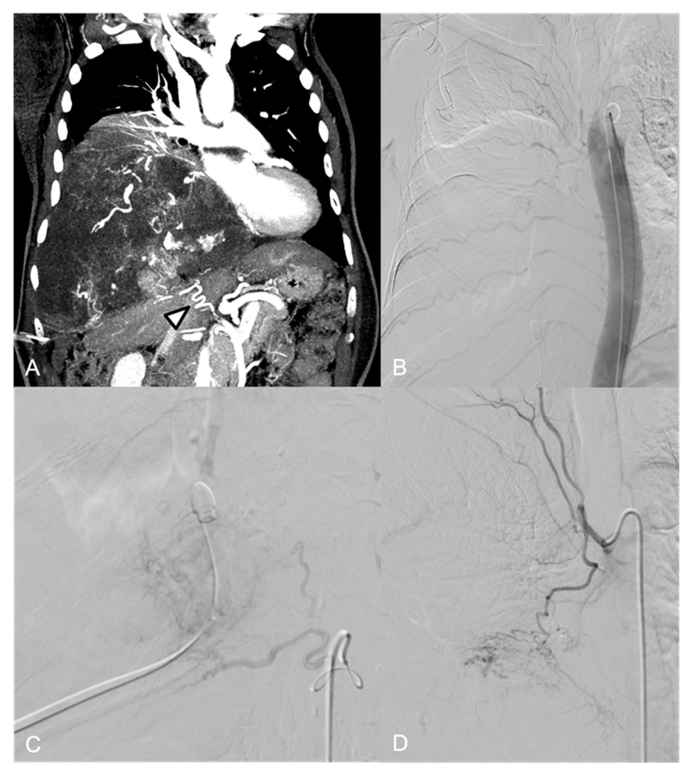 Jpm 14 01019 g007 Jpm 14 01019 g007