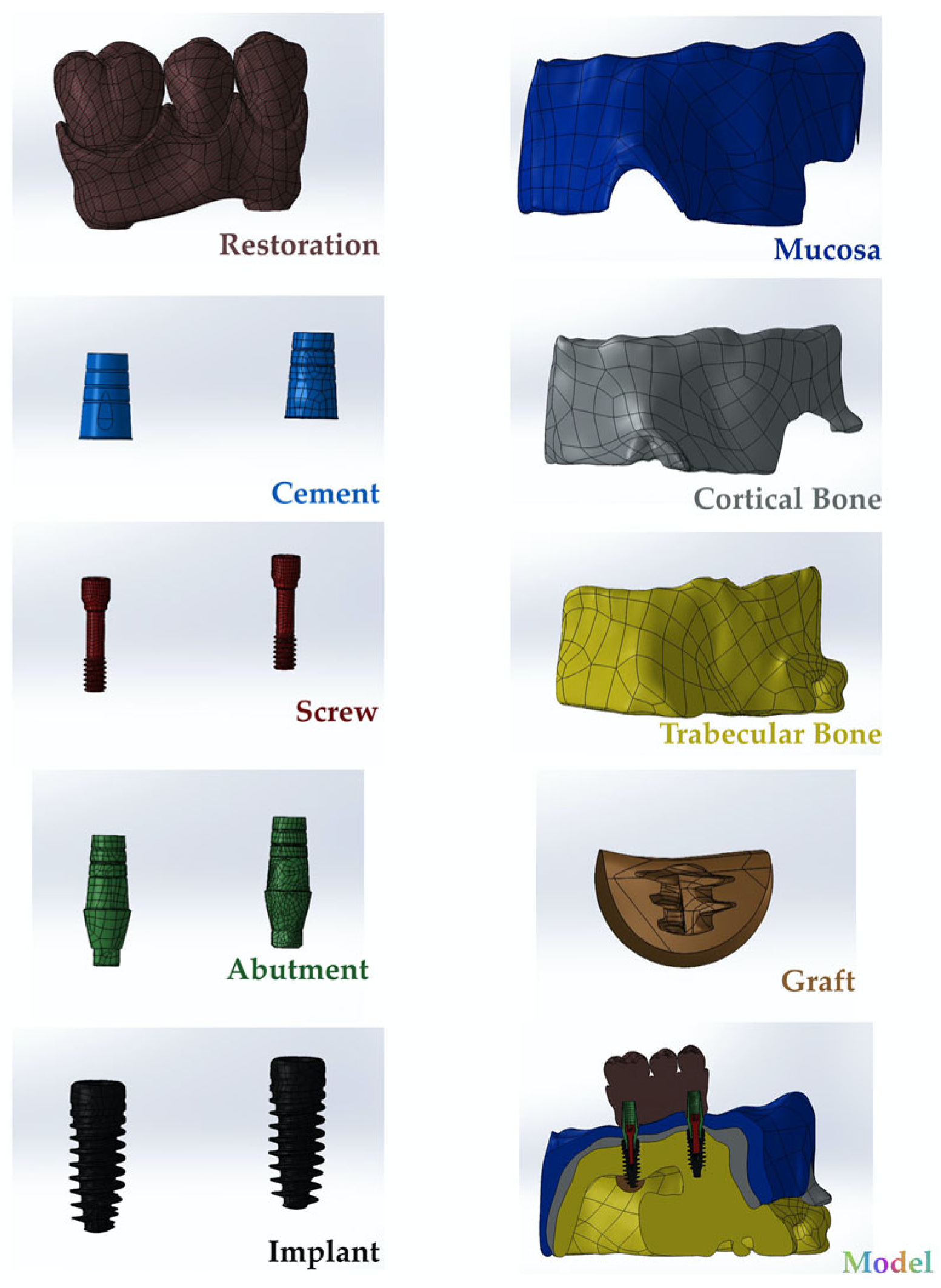 【公式】フジのお歳暮・冬ギフト - WEBカタログ掲載中 of Impact the of Assessment Bone Abutment and Quality その他