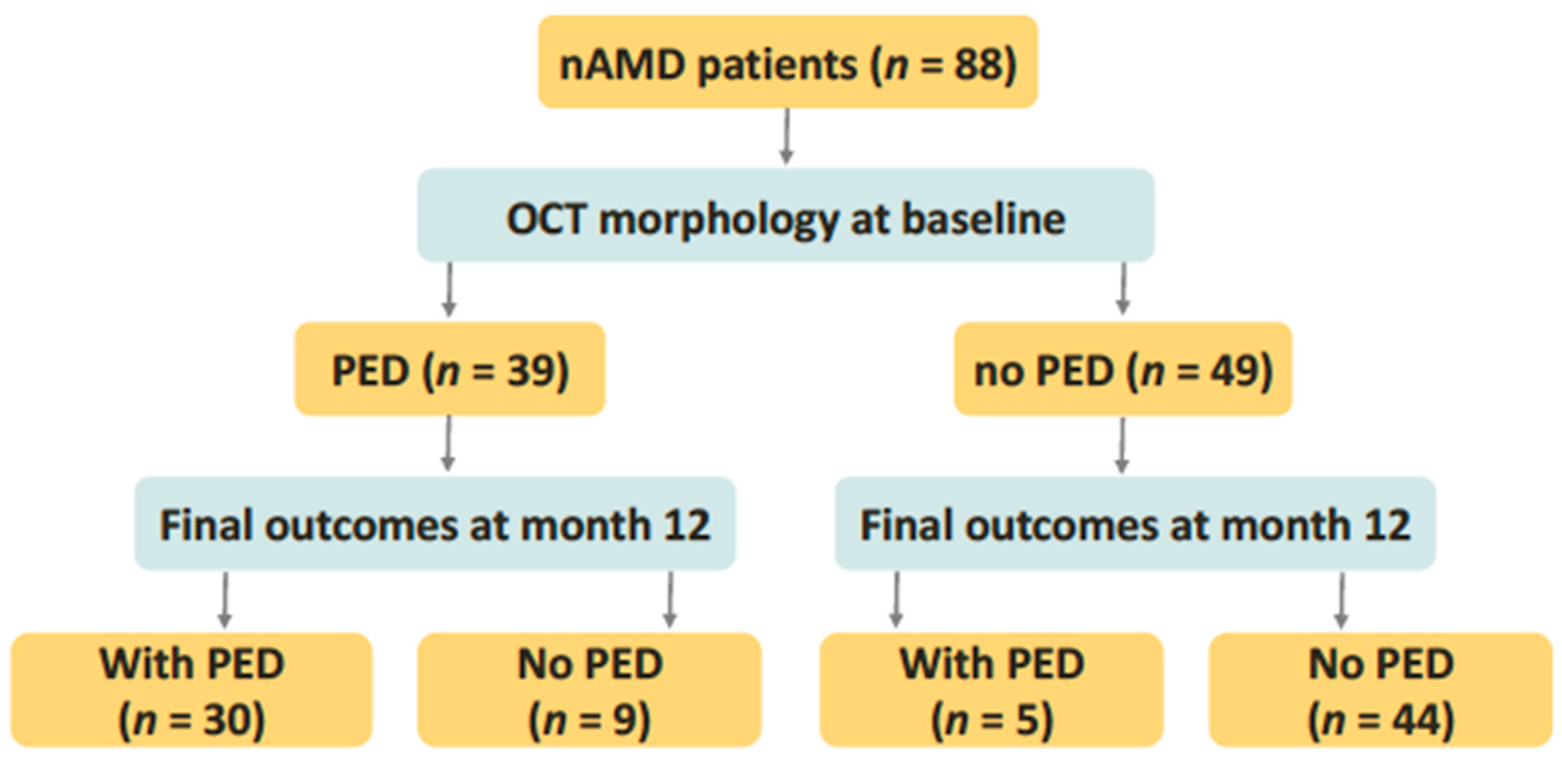 Jpm 14 01041 g001 Jpm 14 01041 g001