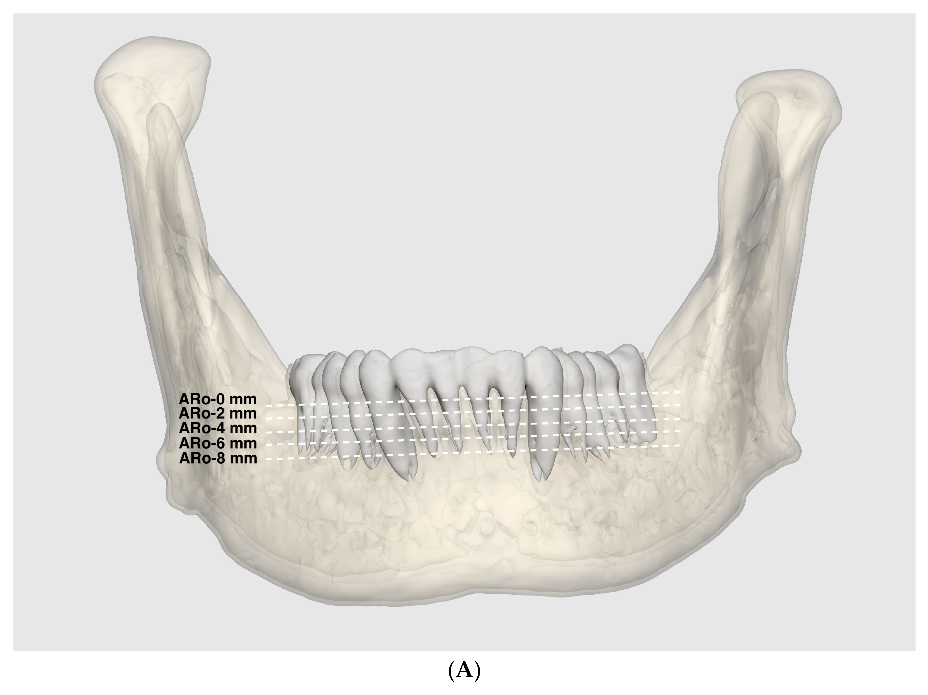 ENCYCLOPAEDIA of OCCLUSION【裁断済】 ENCYCLOPAEDIA of OCCLUSION【裁断済】