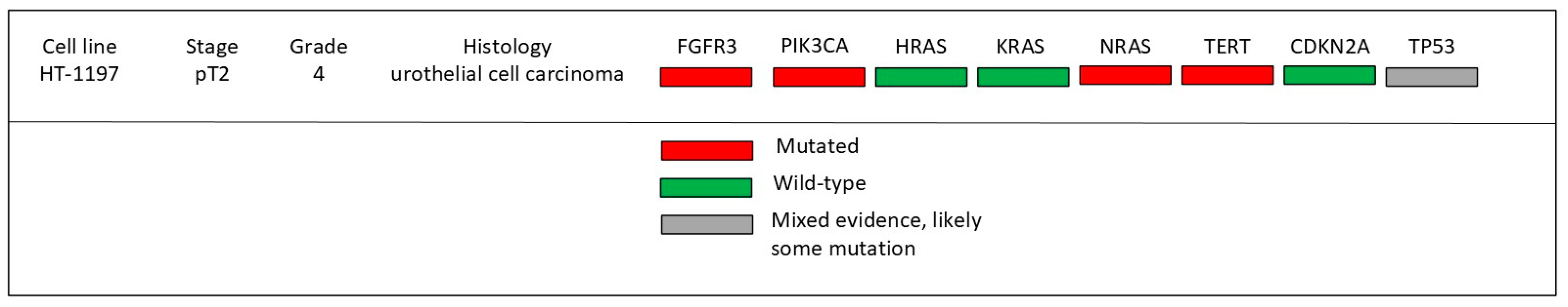 Jpm 15 00143 g001 Jpm 15 00143 g001