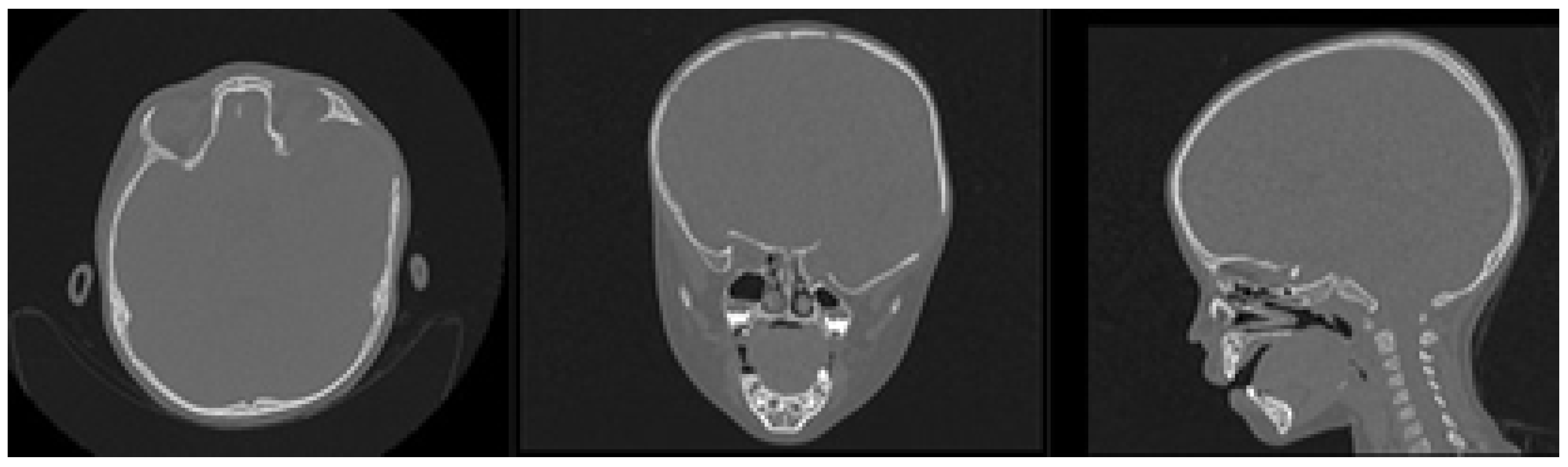 Jpm 15 00397 g002 Jpm 15 00397 g002