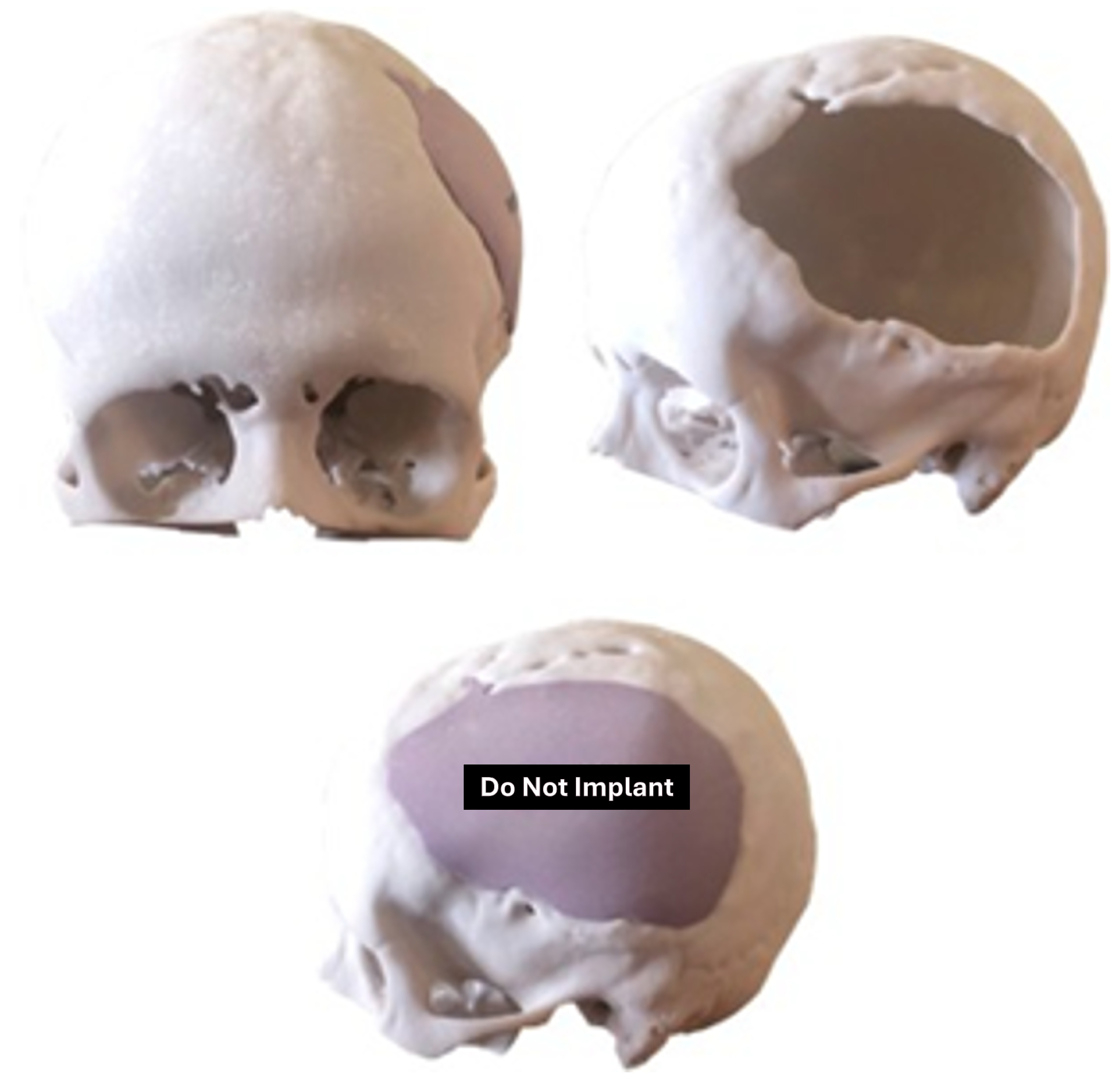 Jpm 15 00397 g013 Jpm 15 00397 g013