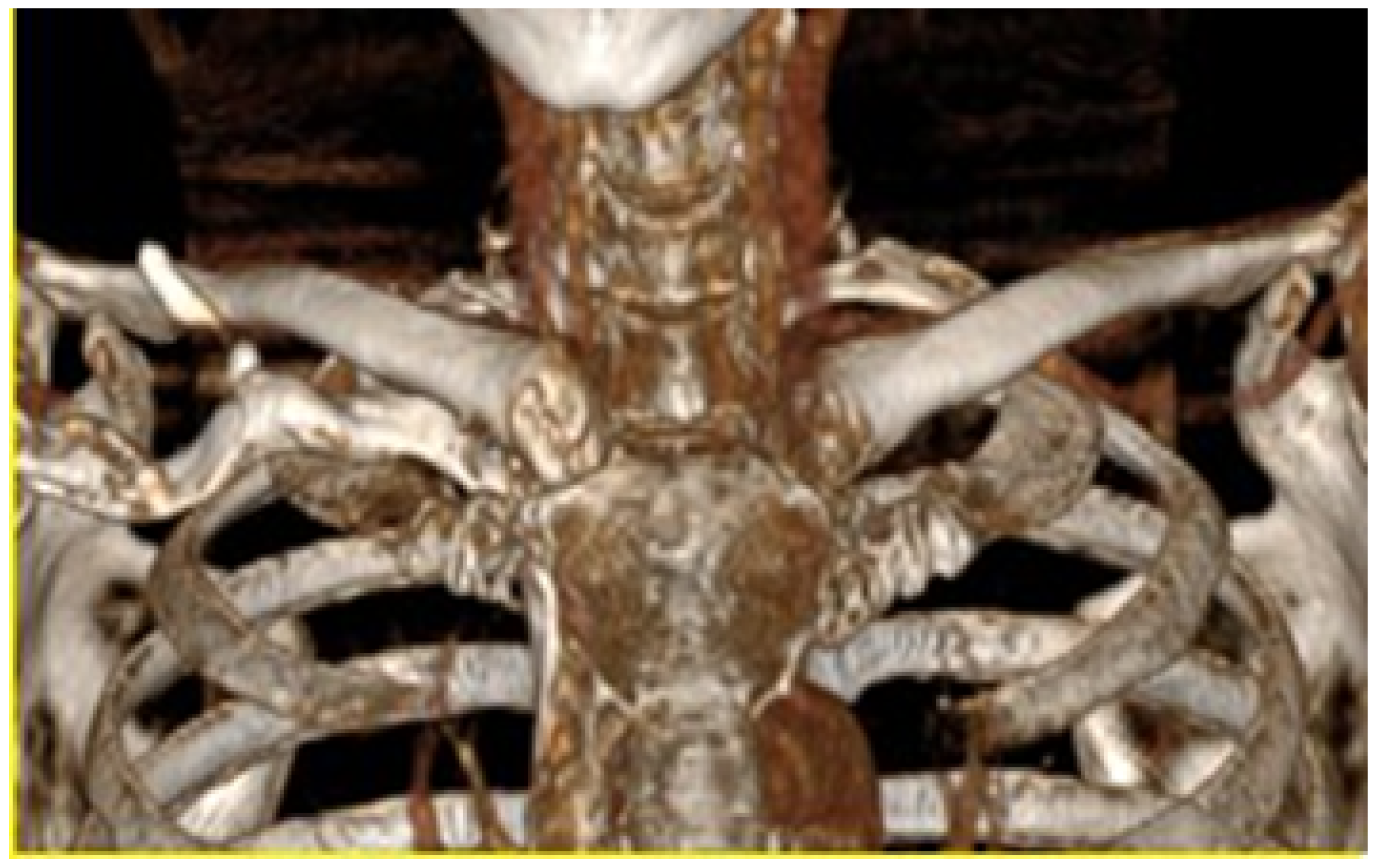 Jpm 15 00397 g024 Jpm 15 00397 g024