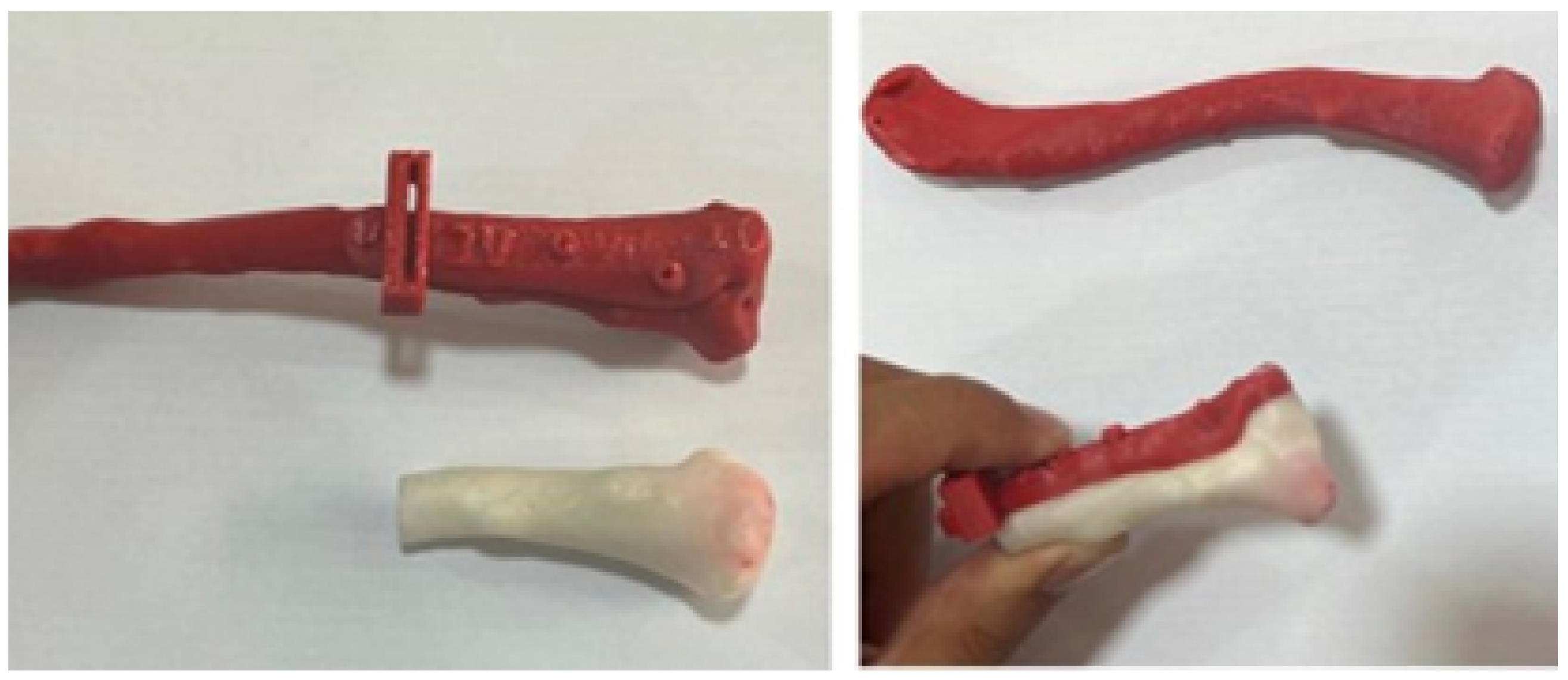 Jpm 15 00397 g028 Jpm 15 00397 g028