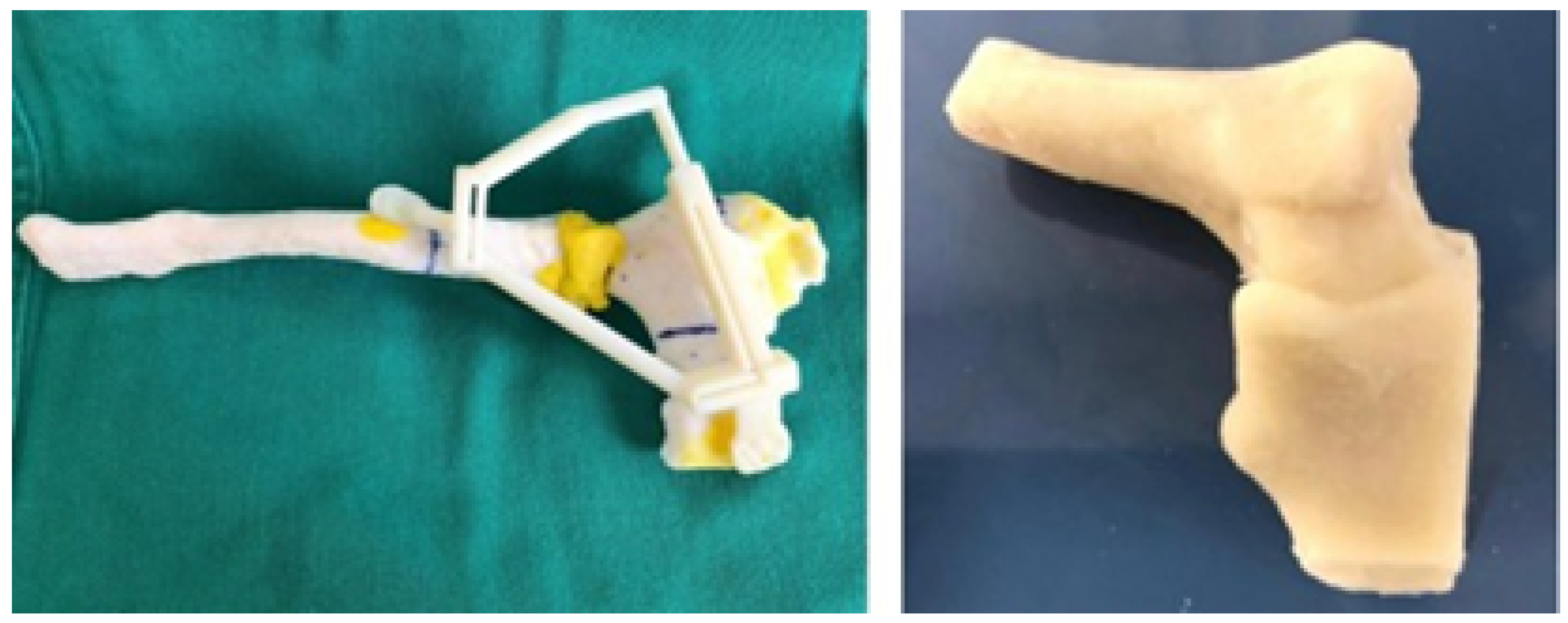 Jpm 15 00397 g040 Jpm 15 00397 g040