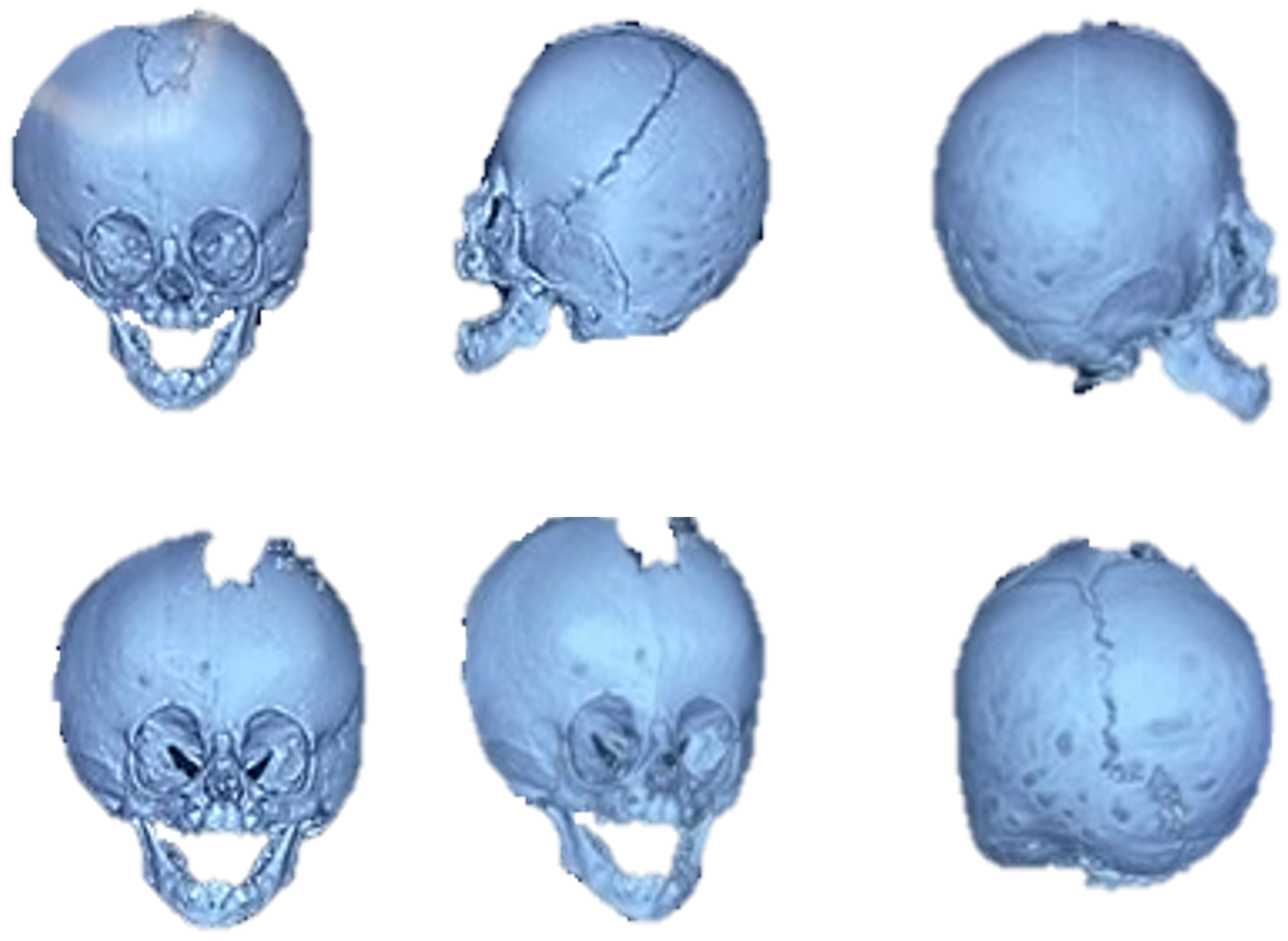 Jpm 15 00397 g043 Jpm 15 00397 g043