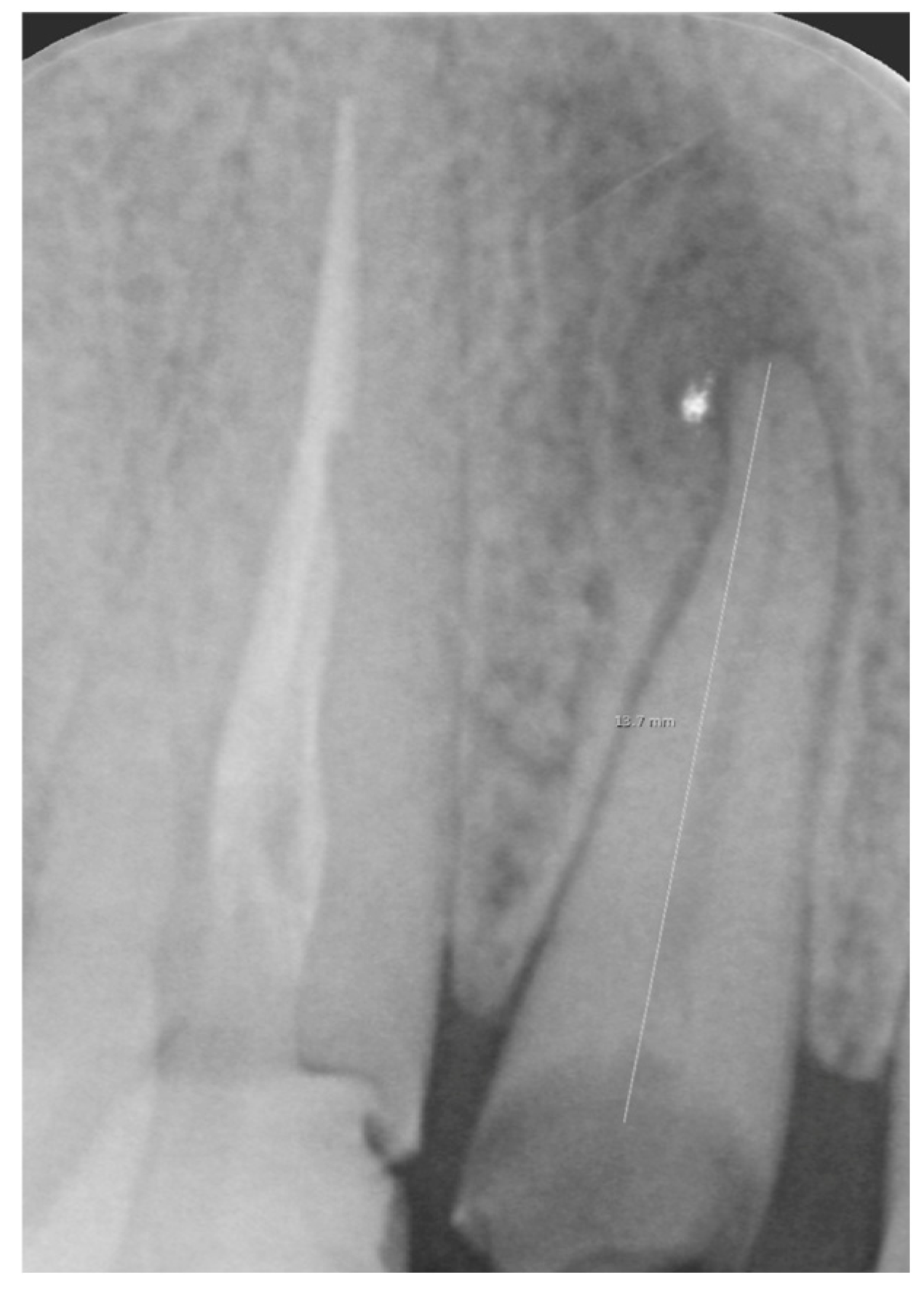 Jpm 15 00408 g001 Jpm 15 00408 g001