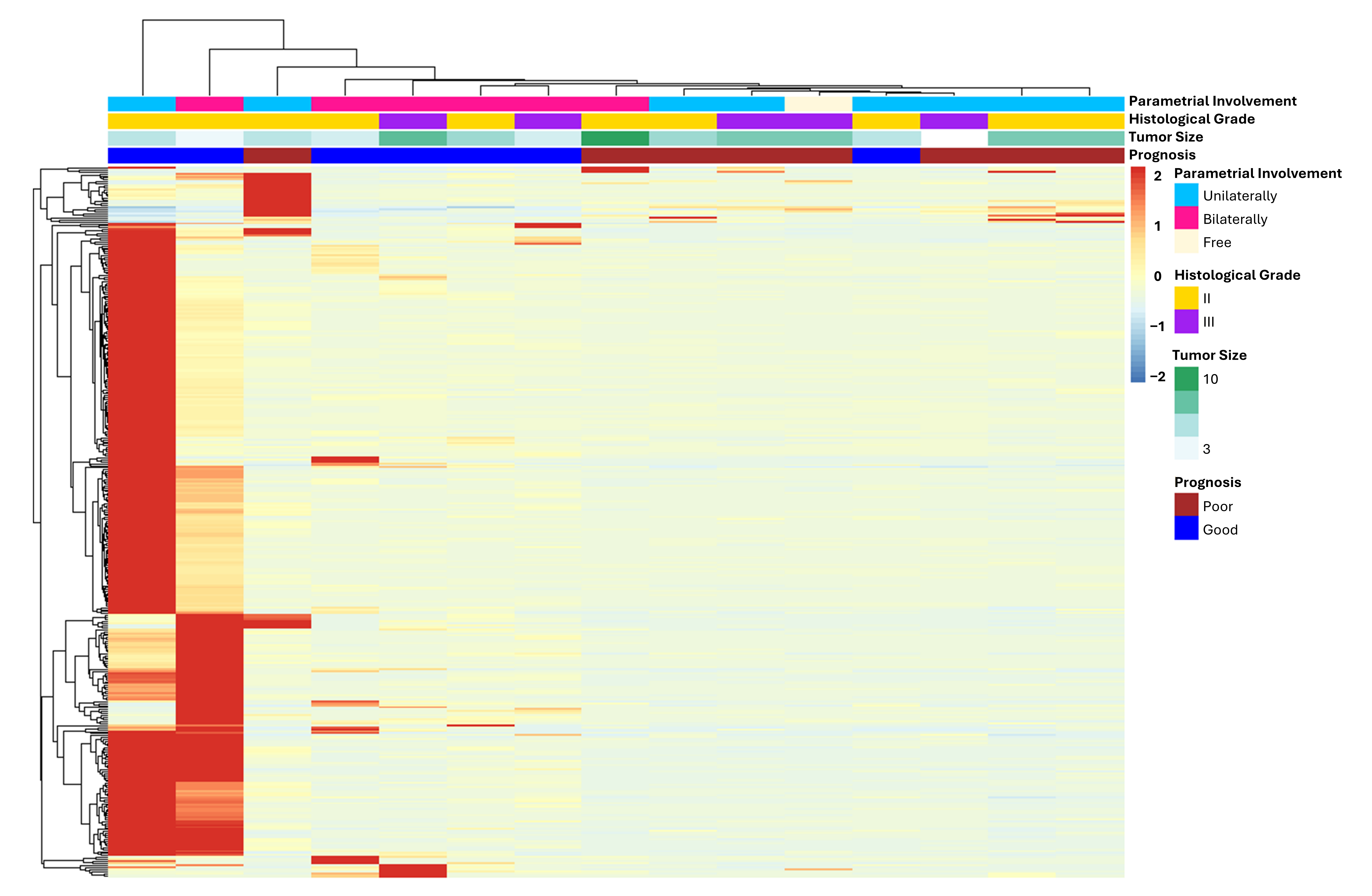 Jpm 15 00497 g003 Jpm 15 00497 g003