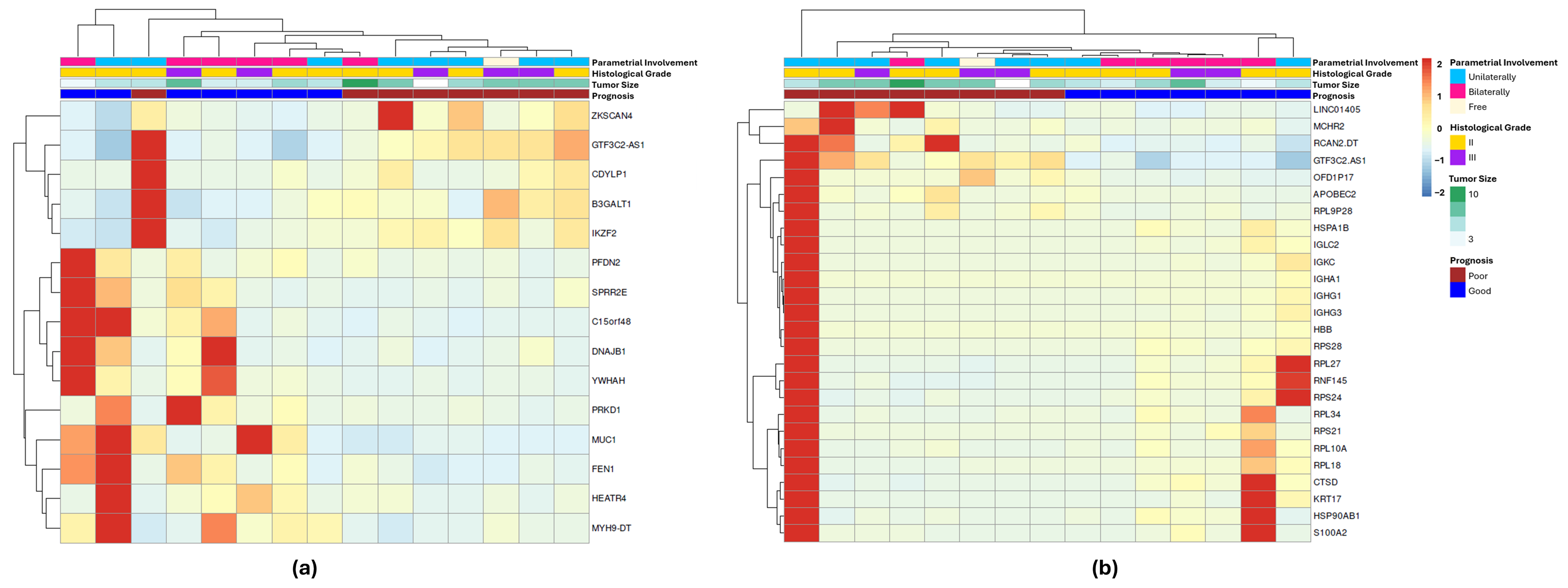 Jpm 15 00497 g004 Jpm 15 00497 g004
