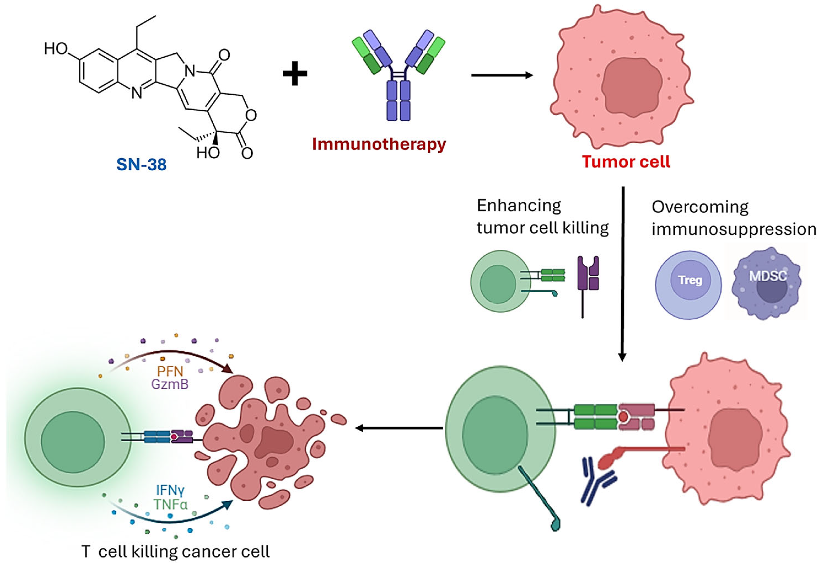 Jpm 15 00512 g001 Jpm 15 00512 g001