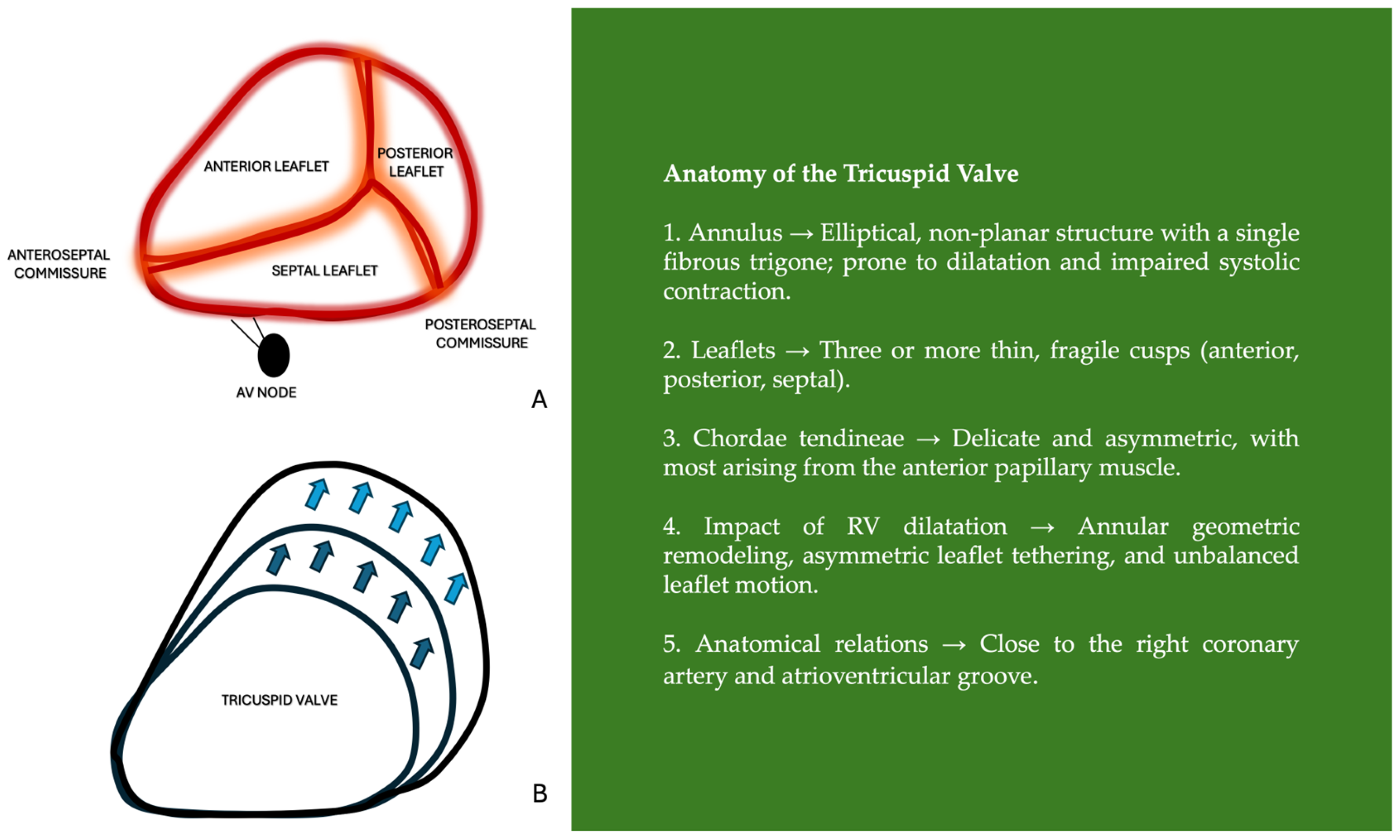 Jpm 15 00535 g001 Jpm 15 00535 g001