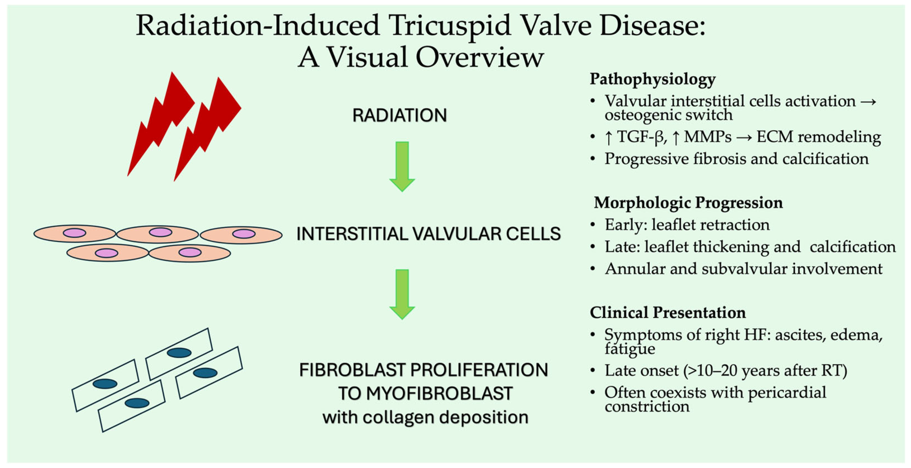 Jpm 15 00535 g003 Jpm 15 00535 g003
