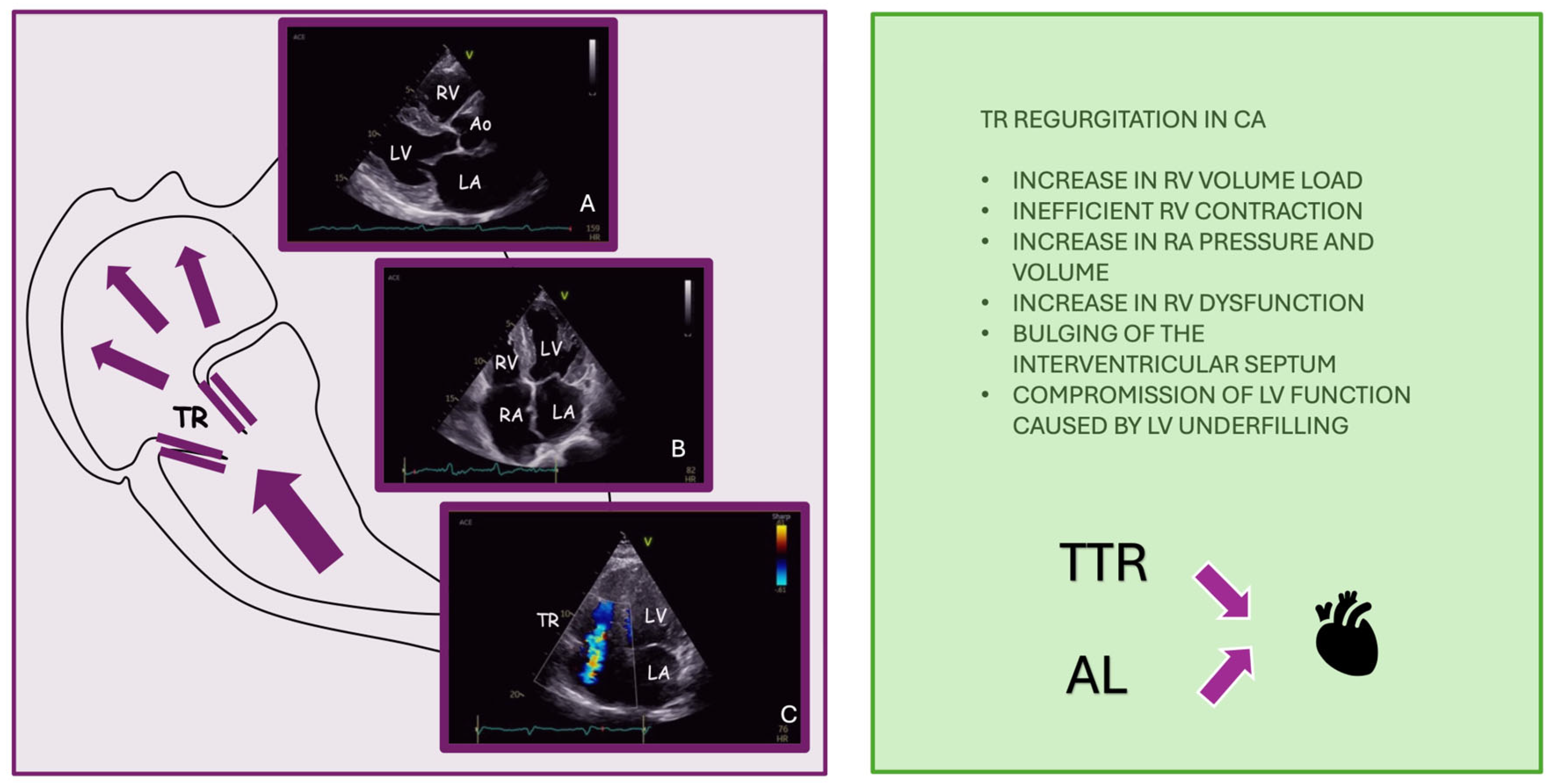Jpm 15 00535 g004 Jpm 15 00535 g004