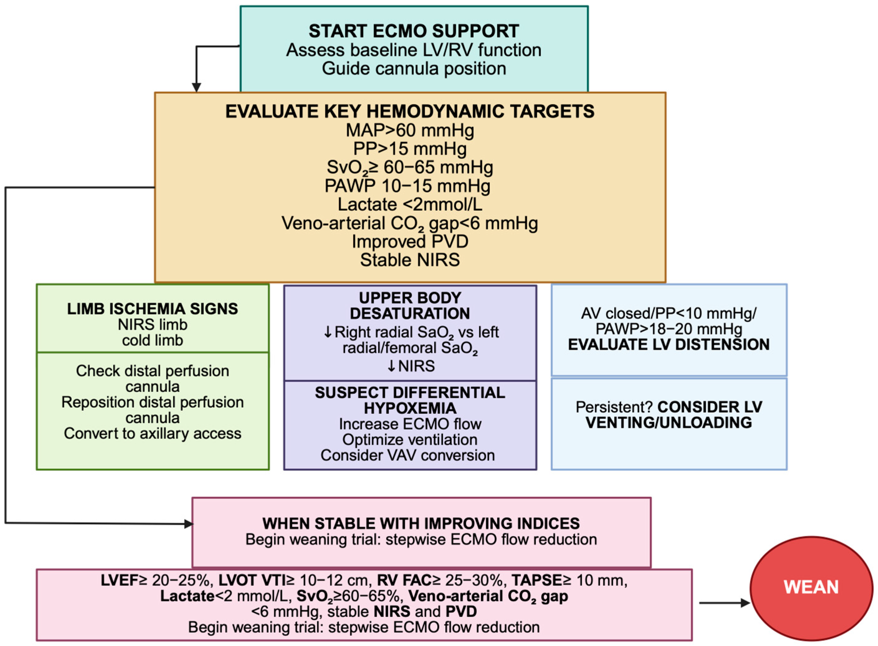 Jpm 15 00541 g003 Jpm 15 00541 g003