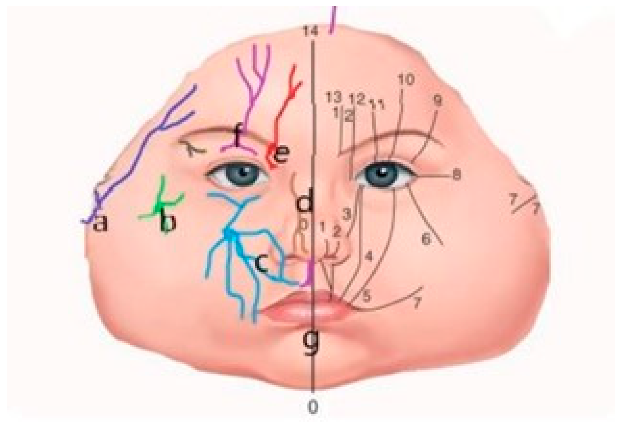 Jpm 15 00556 g002 Jpm 15 00556 g002