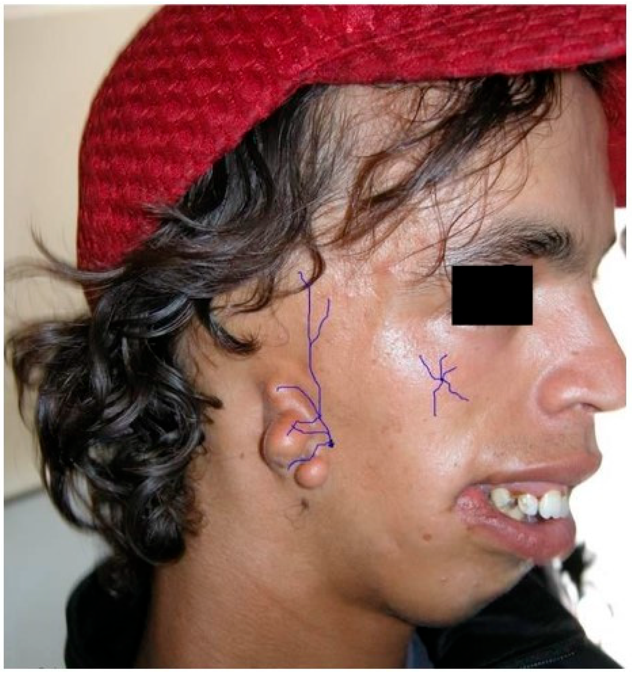 Jpm 15 00556 g003 Jpm 15 00556 g003