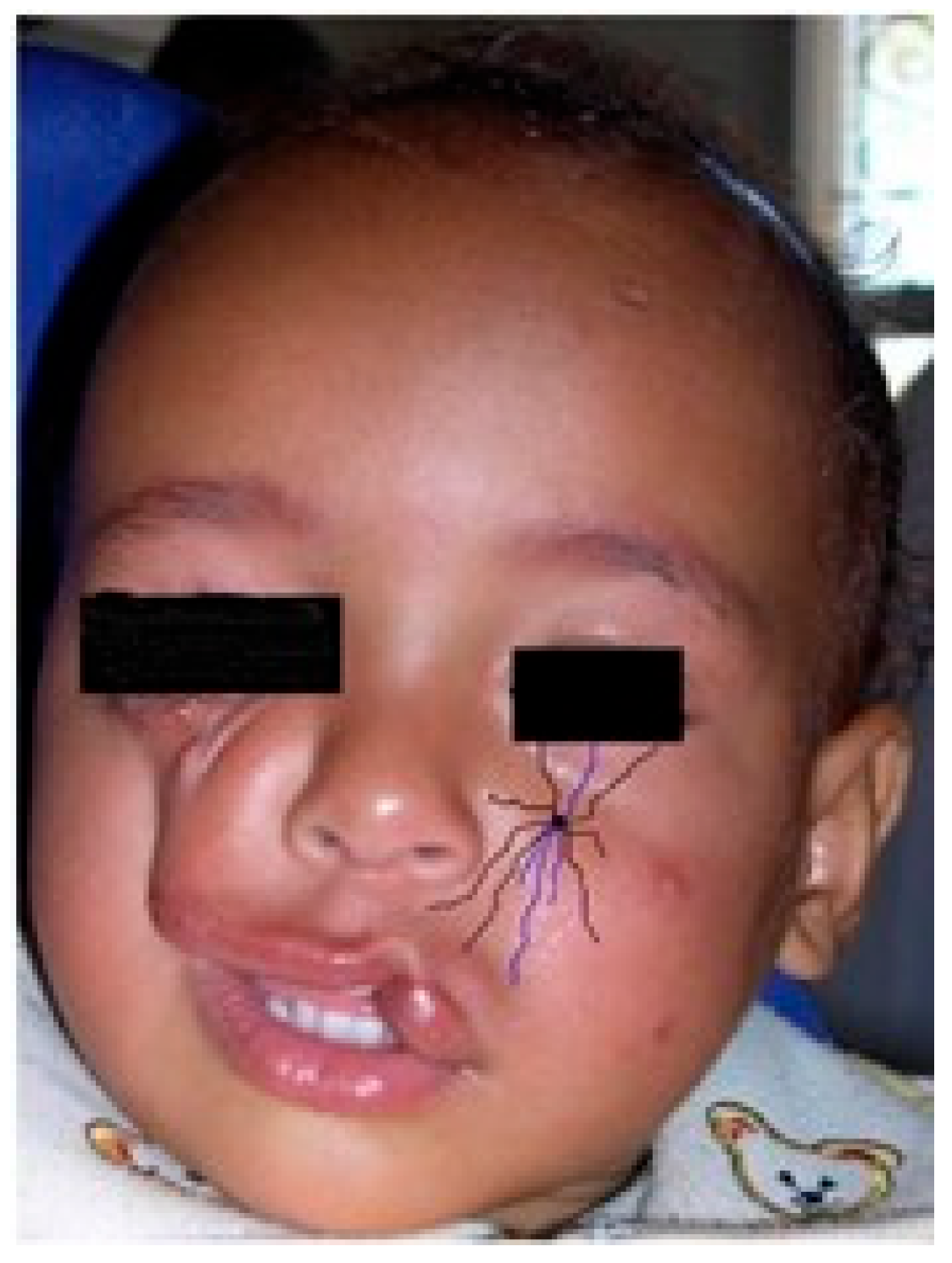 Jpm 15 00556 g005 Jpm 15 00556 g005