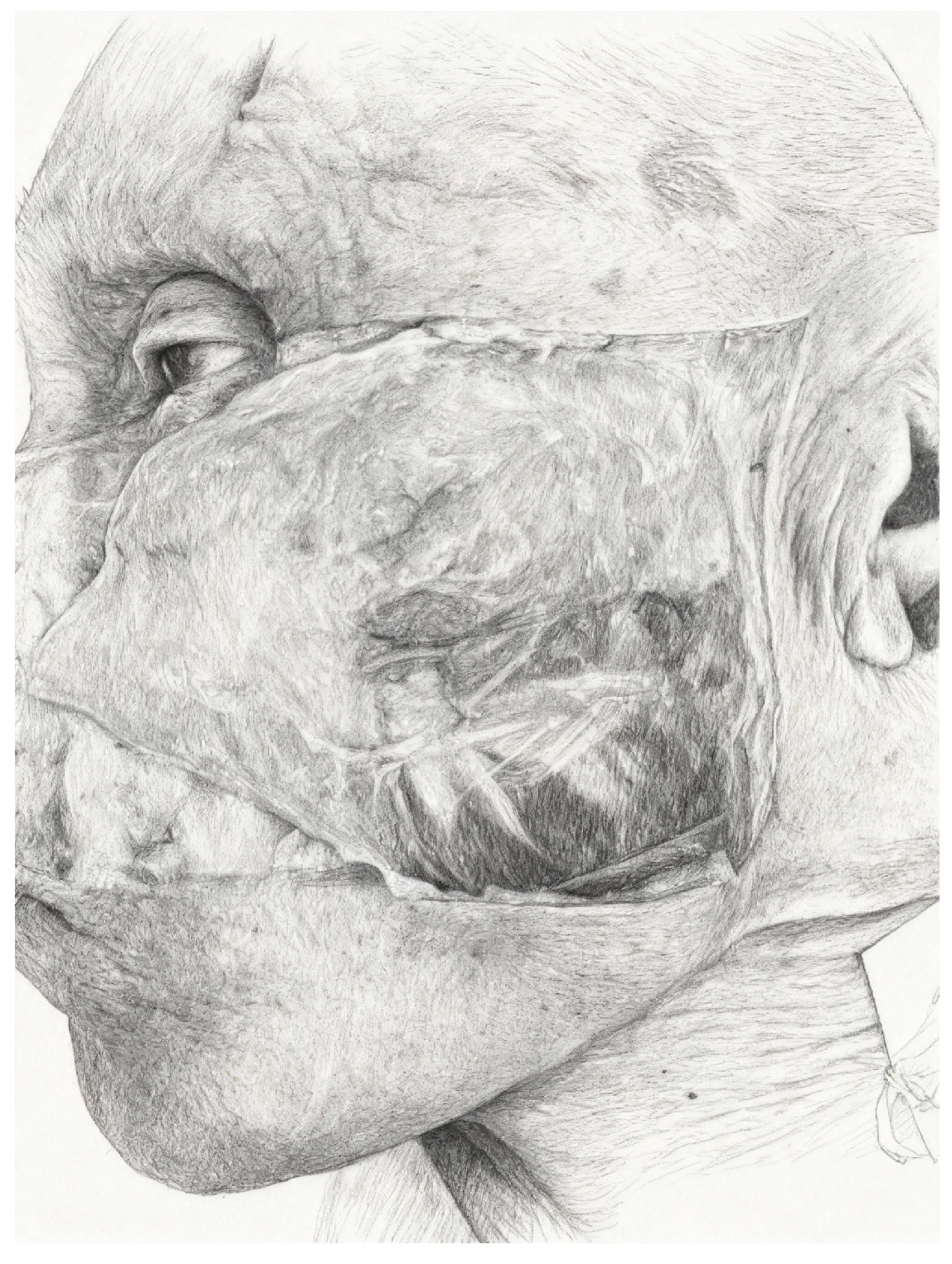 Jpm 15 00582 g003 Jpm 15 00582 g003