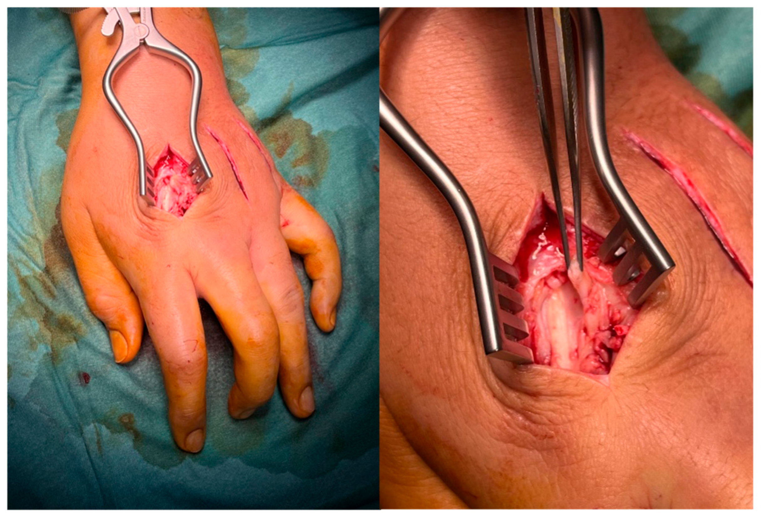 Jpm 15 00586 g003 Jpm 15 00586 g003