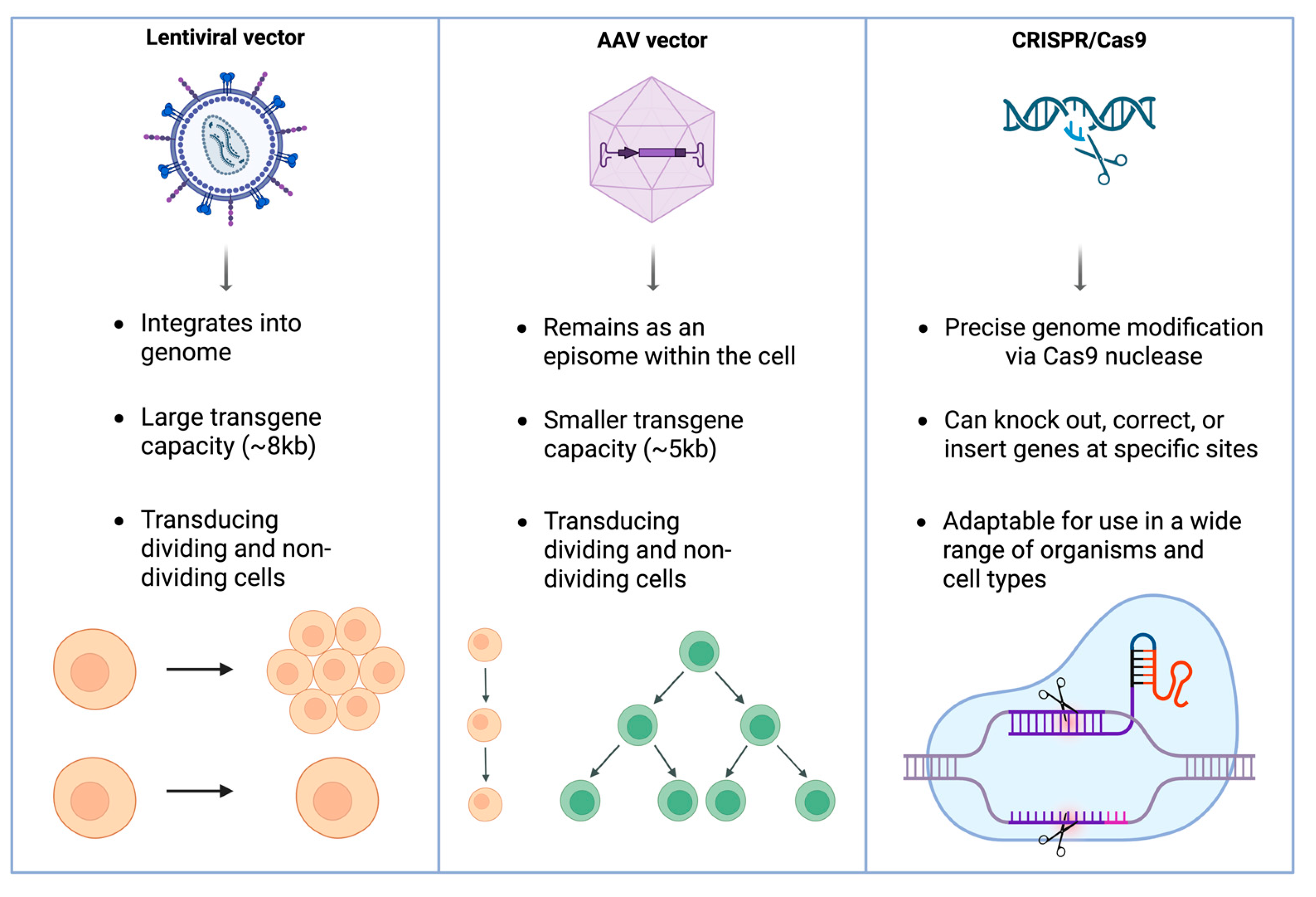Jpm 15 00619 g001 Jpm 15 00619 g001