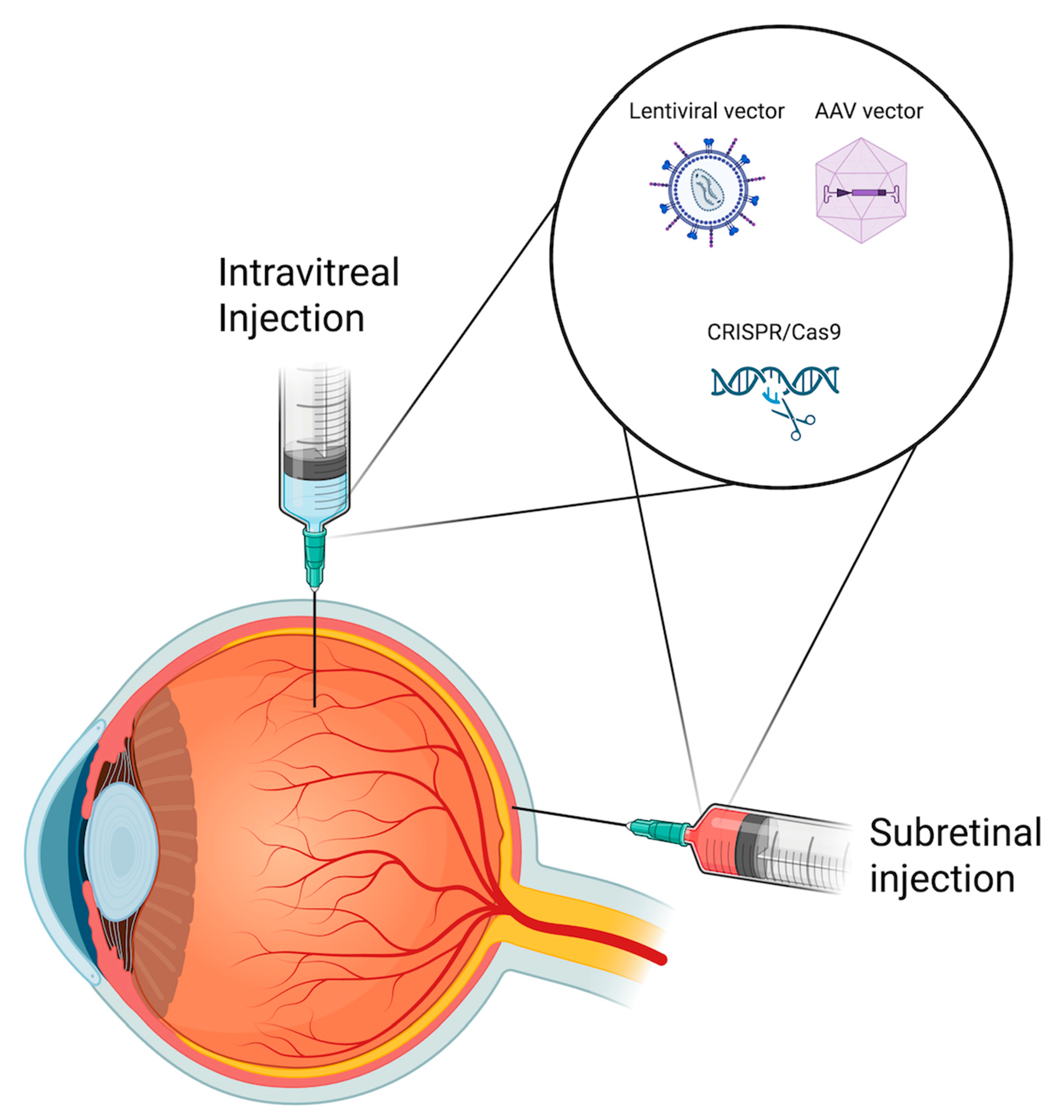 Jpm 15 00619 g002 Jpm 15 00619 g002