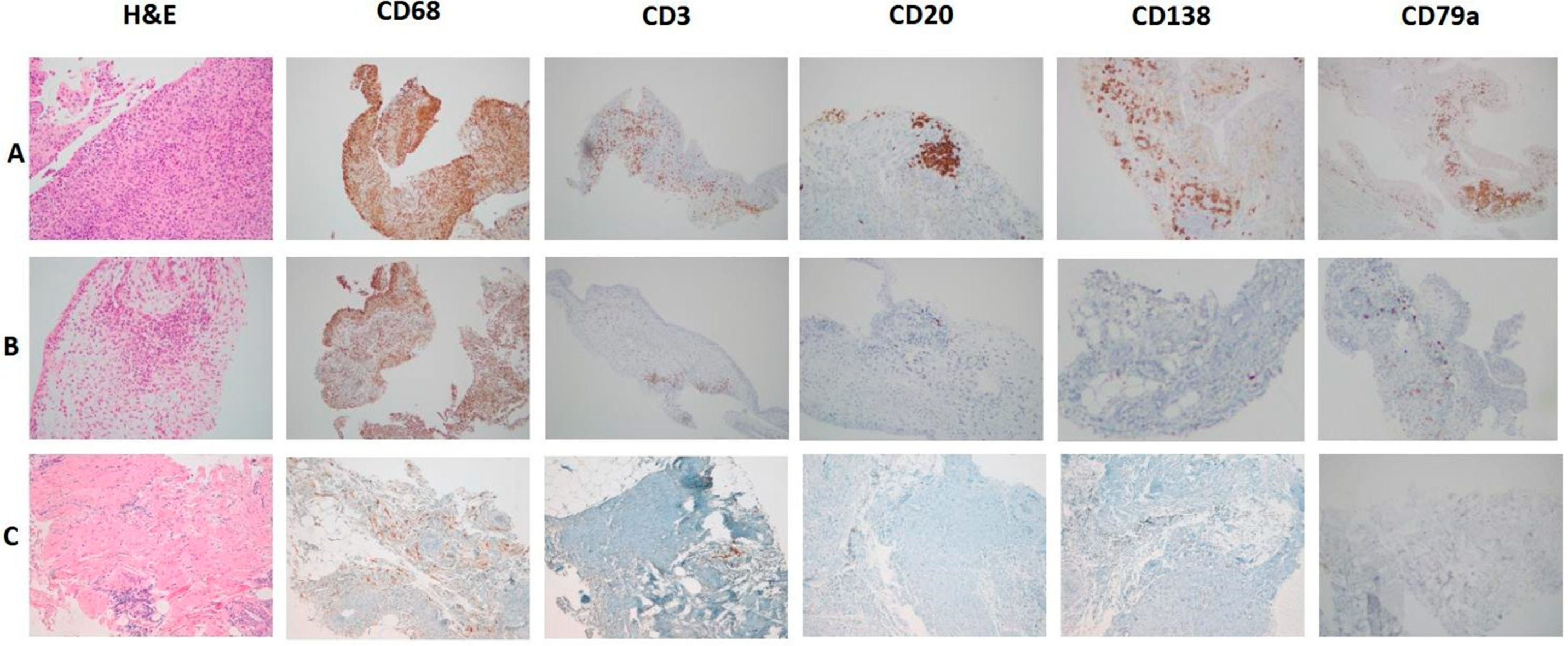 Jpm 15 00622 g001 Jpm 15 00622 g001