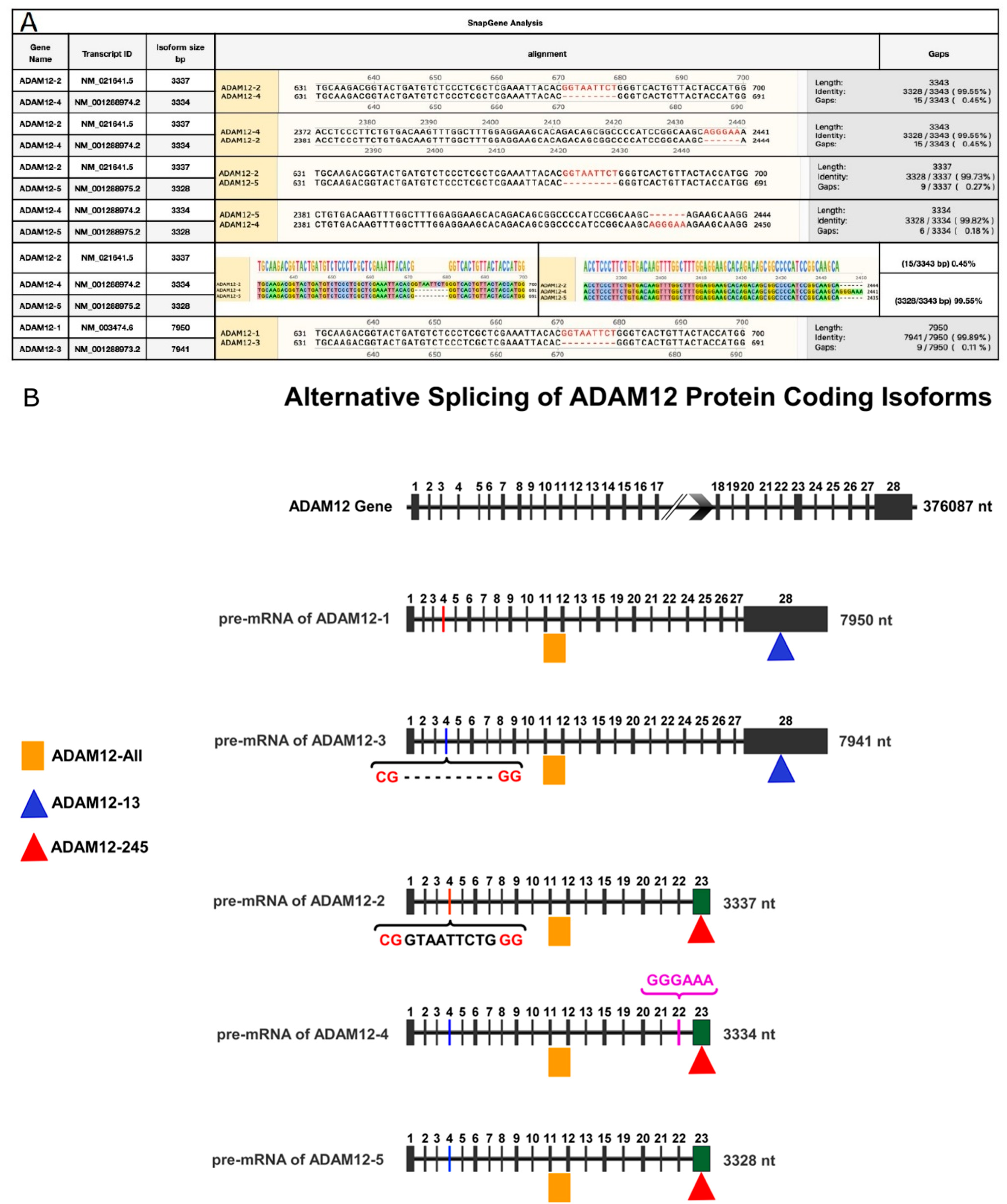 Jpm 16 00057 g003 Jpm 16 00057 g003