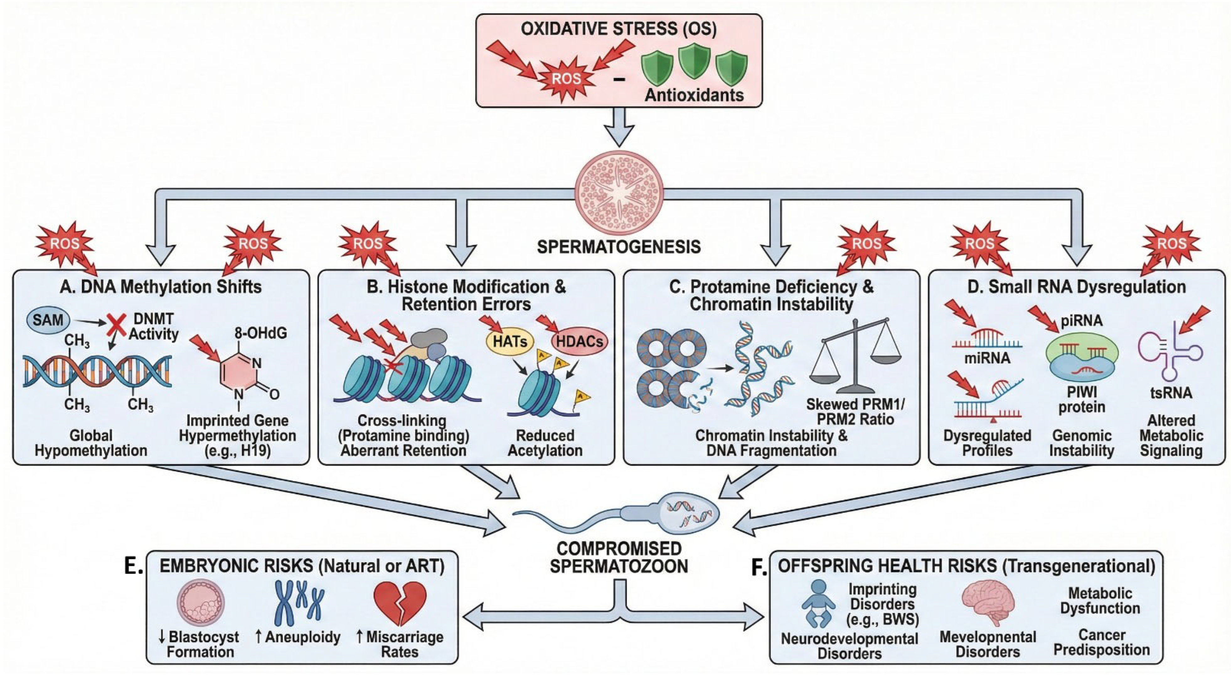 Jpm 16 00079 g002 Jpm 16 00079 g002
