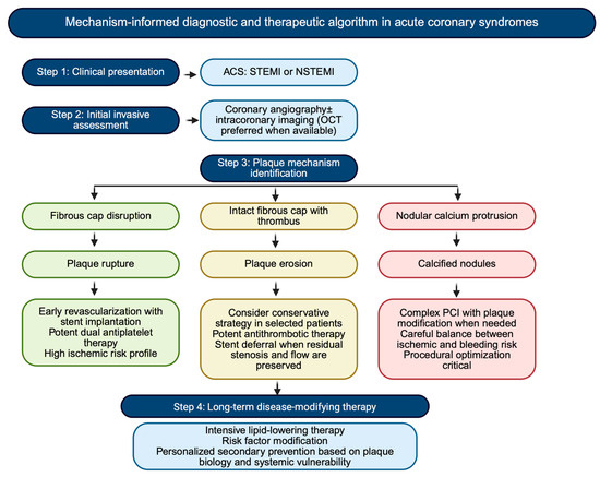 A Clinician-Oriented Approach to Plaque Pathology in ACS: Implications ...