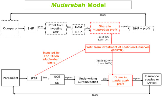 Jrfm Free Full Text A Nontechnical Guide On Optimal Incentives For Islamic Insurance Operators Html